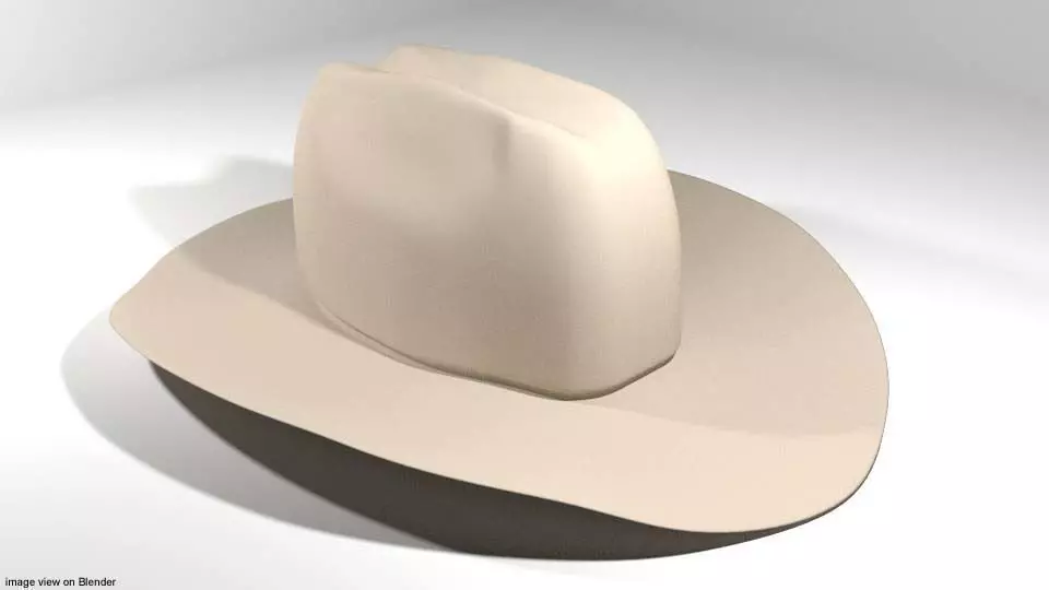 Hat - Cowboy 3D model_0