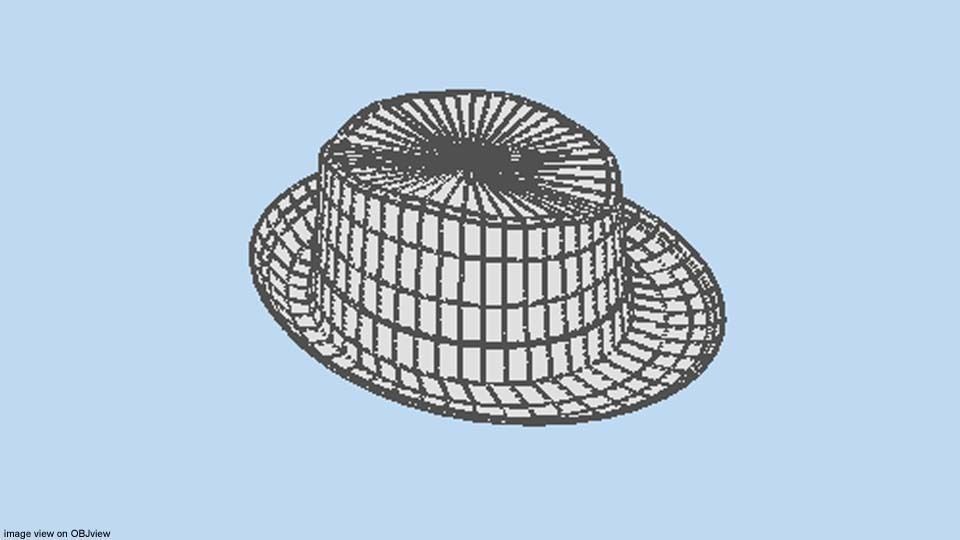 Hat - Trilby 3D model_4