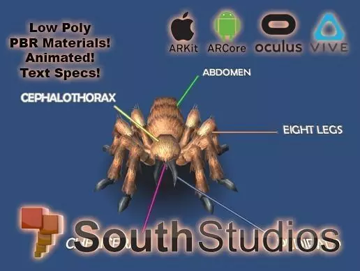 Animated Spider AR VR Unity 3dsmax Low-poly 3D model_0