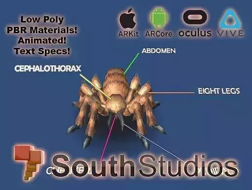 Animated Spider AR VR Unity 3dsmax Low-poly 3D model
