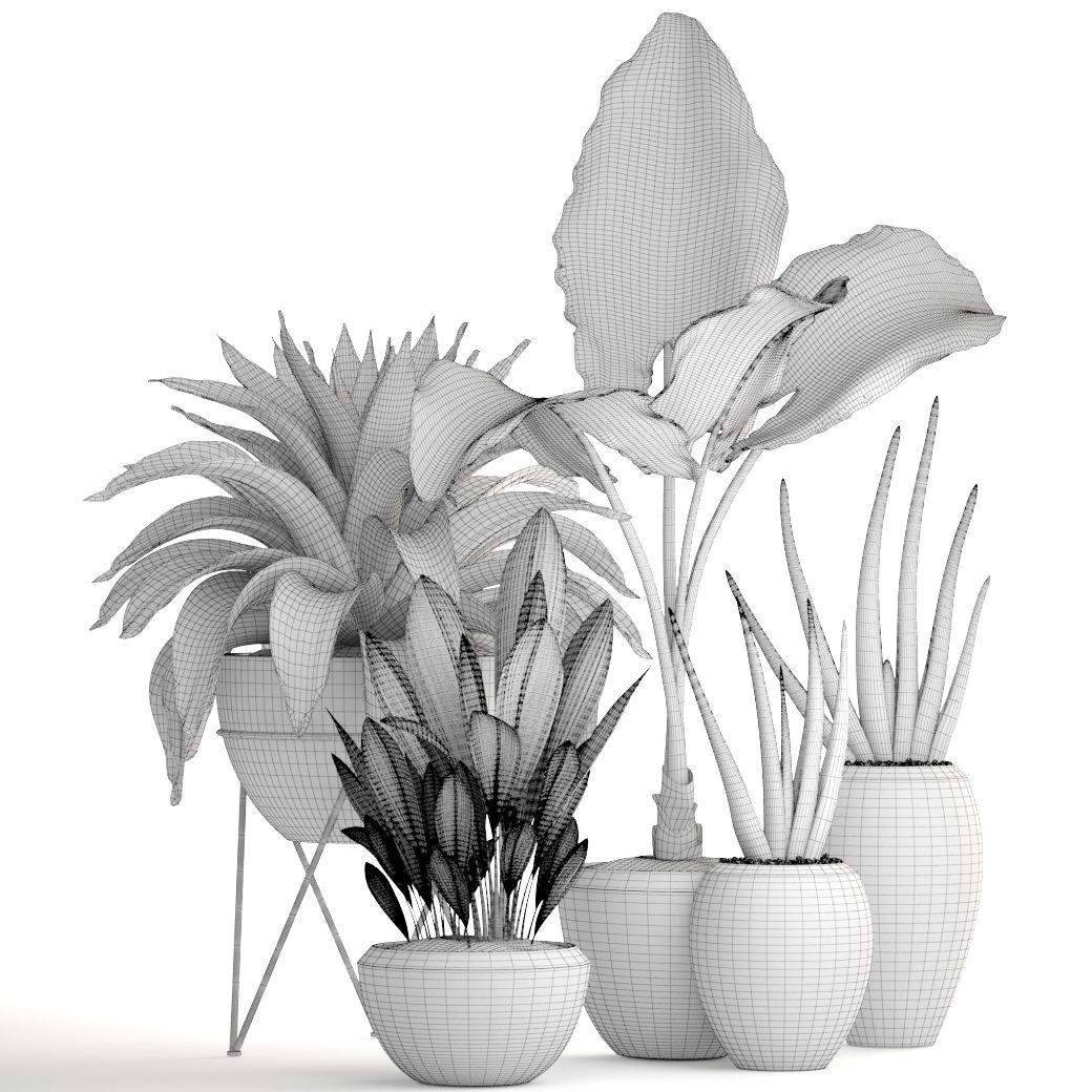 Collection of tropical plants 3D model_8