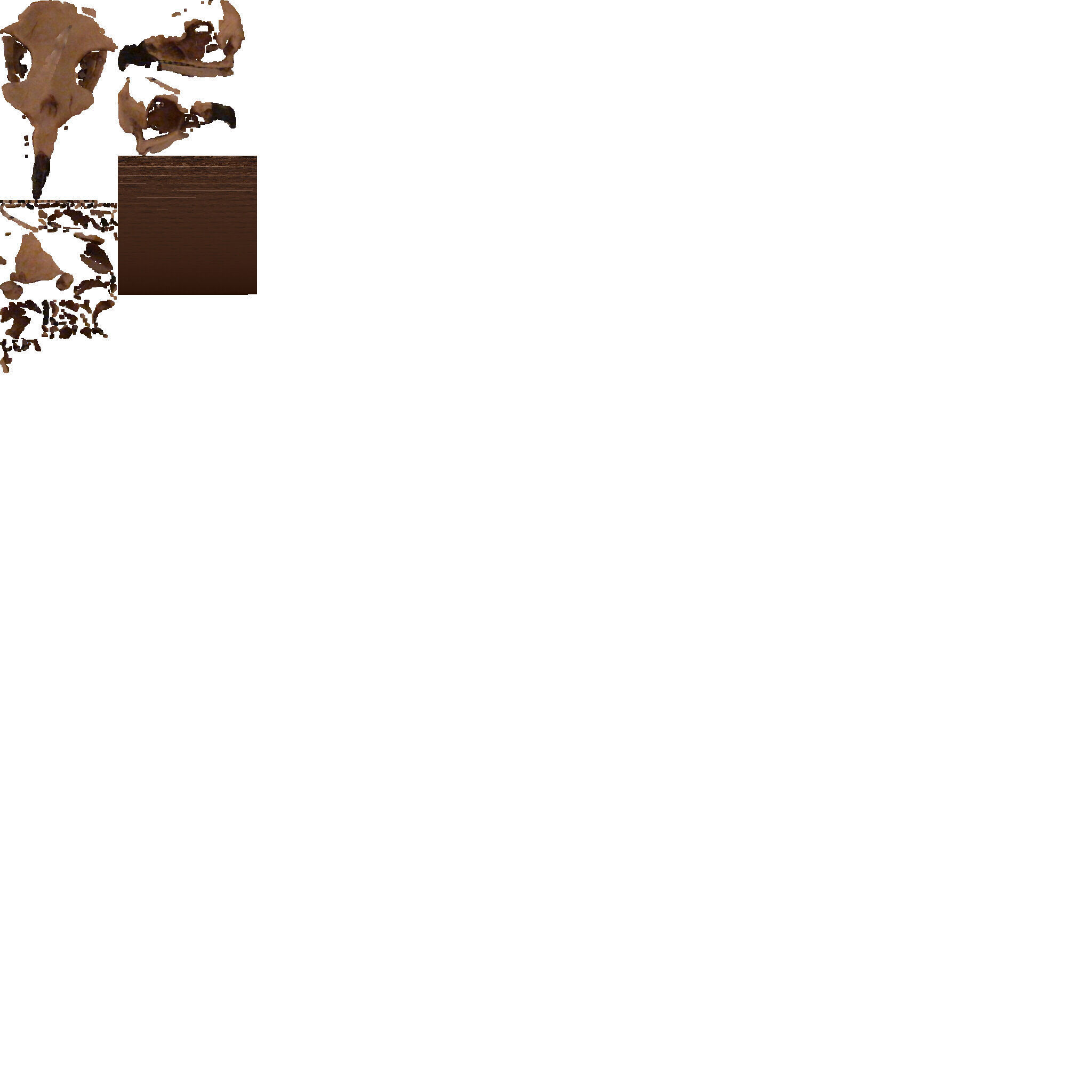 eagle with textures  Texture_2