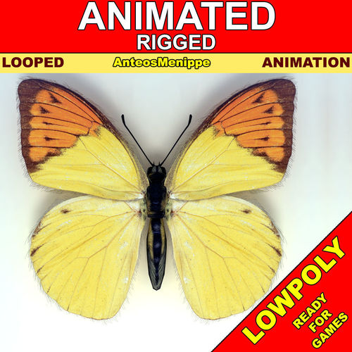 Butterfly - Anteos Menippe Low-poly 3D model