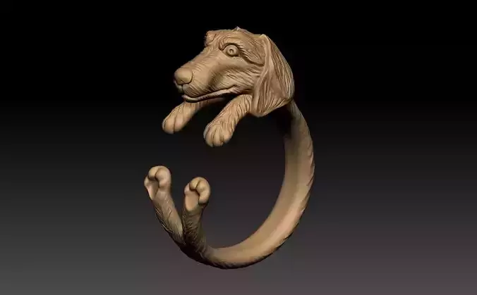 DOG RING