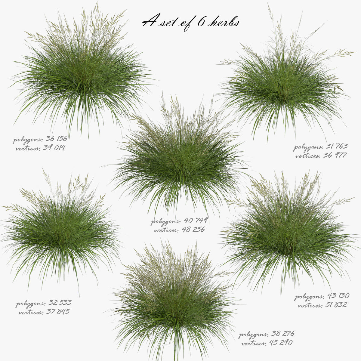 3D model of Grass 05 3D model_0