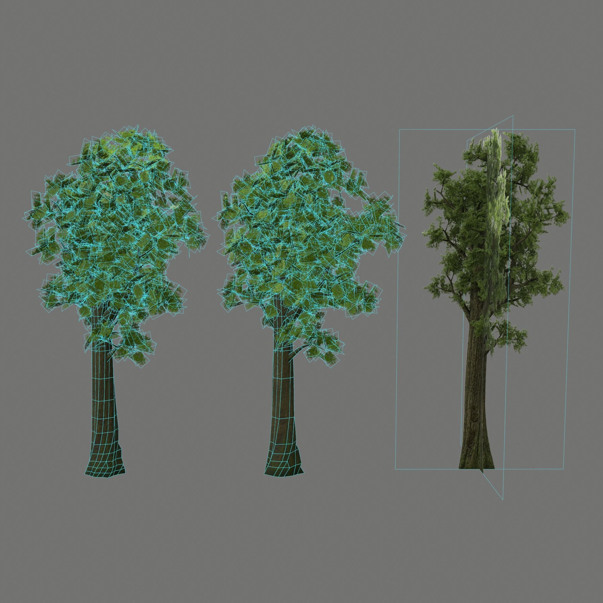 Pine- tree Low-poly 3D model_20