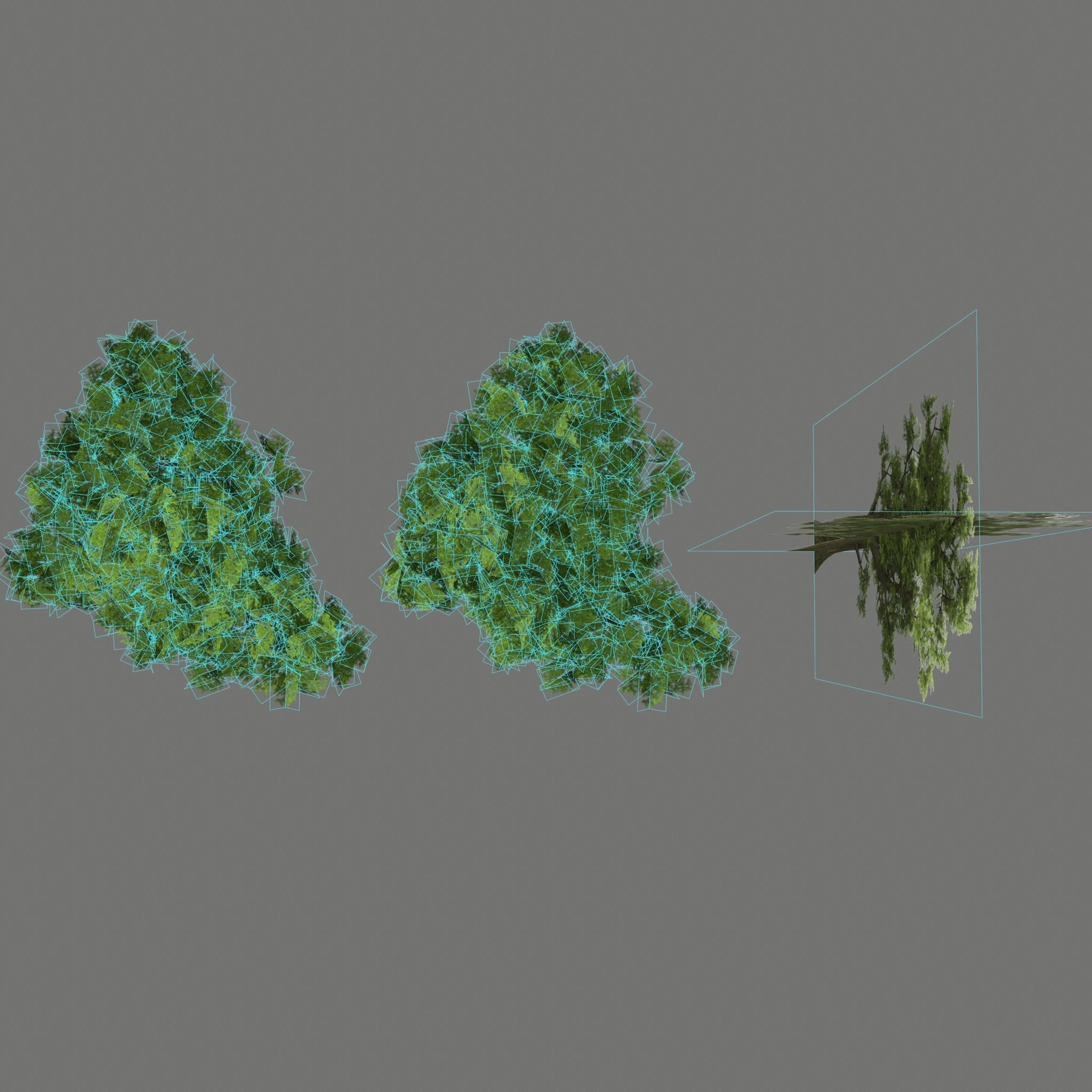 Pine- tree Low-poly 3D model_24