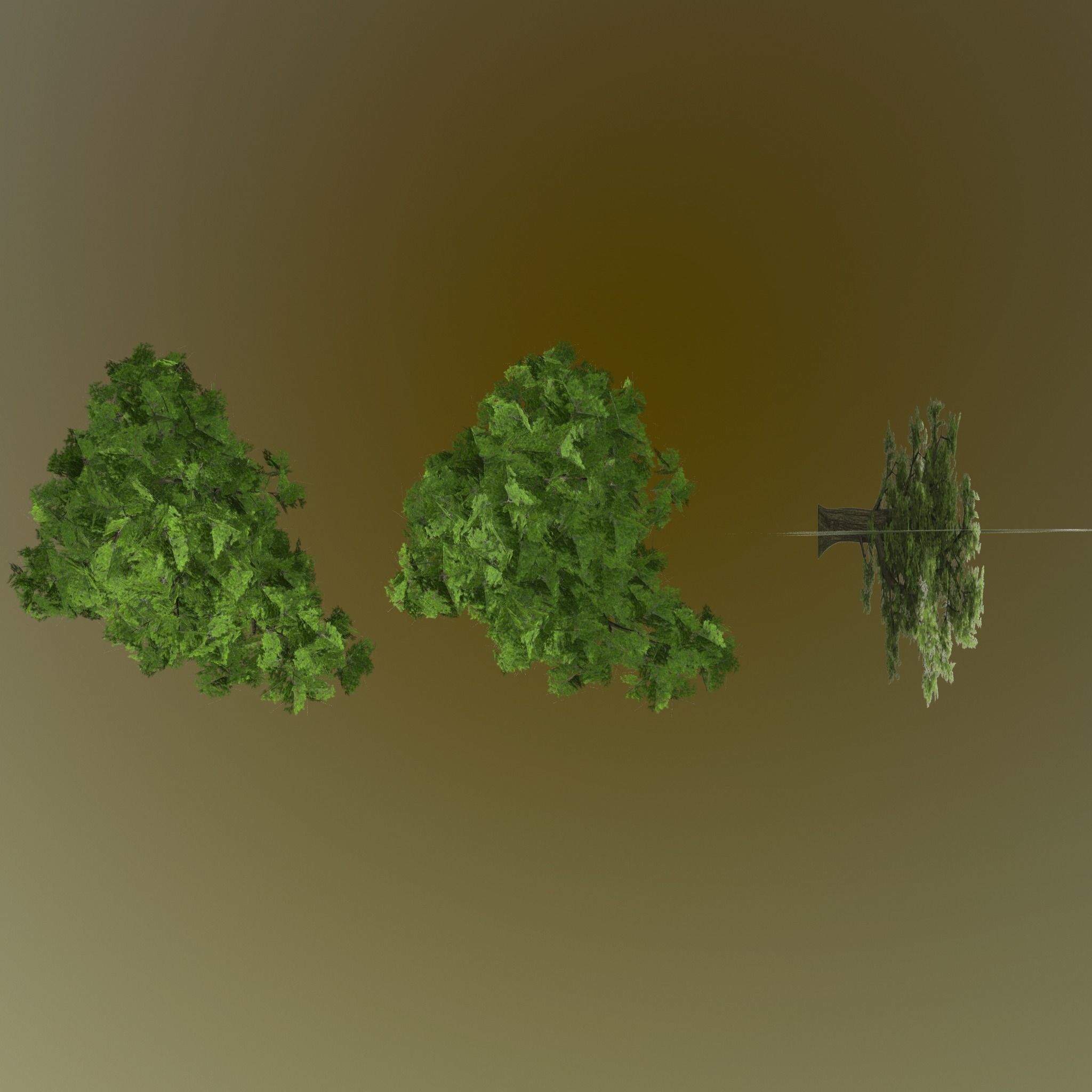 Pine- tree Low-poly 3D model_19