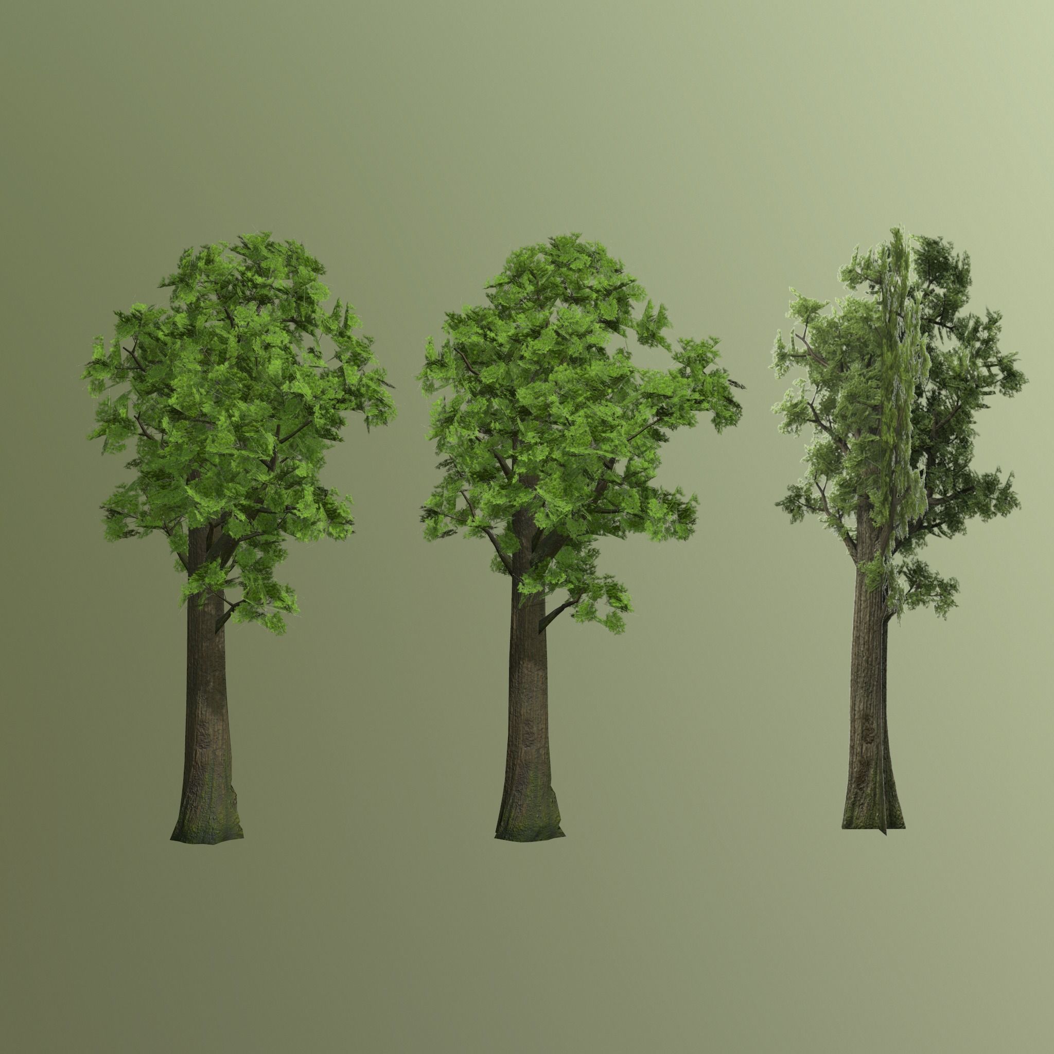 Pine- tree Low-poly 3D model_13