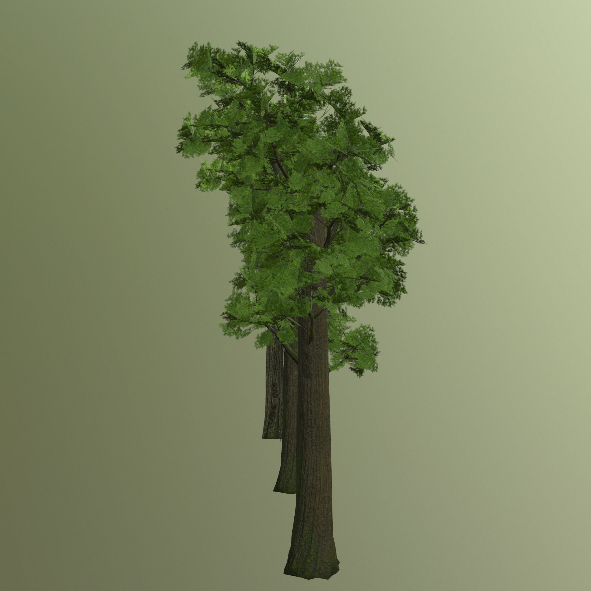 Pine- tree Low-poly 3D model_14