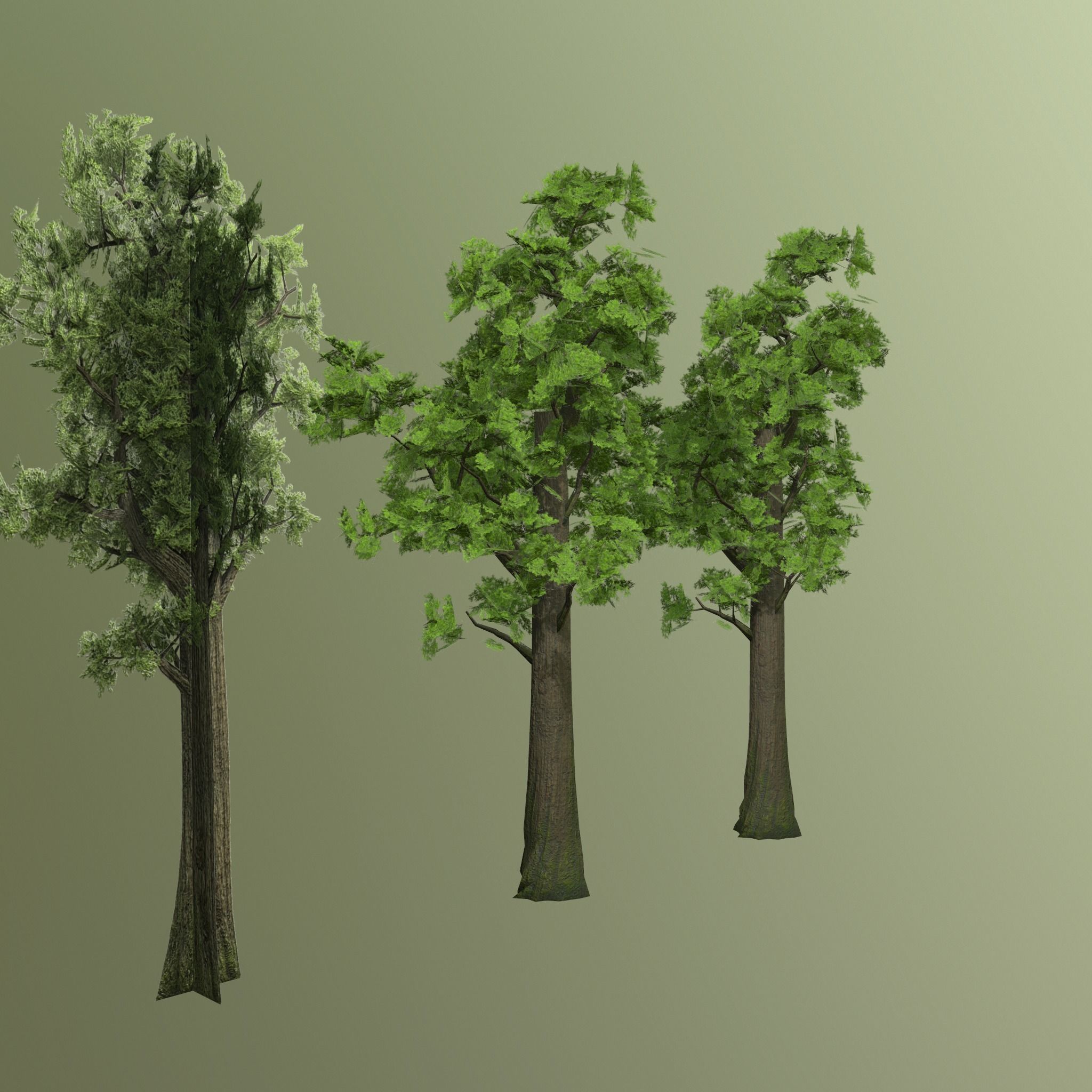Pine- tree Low-poly 3D model_16