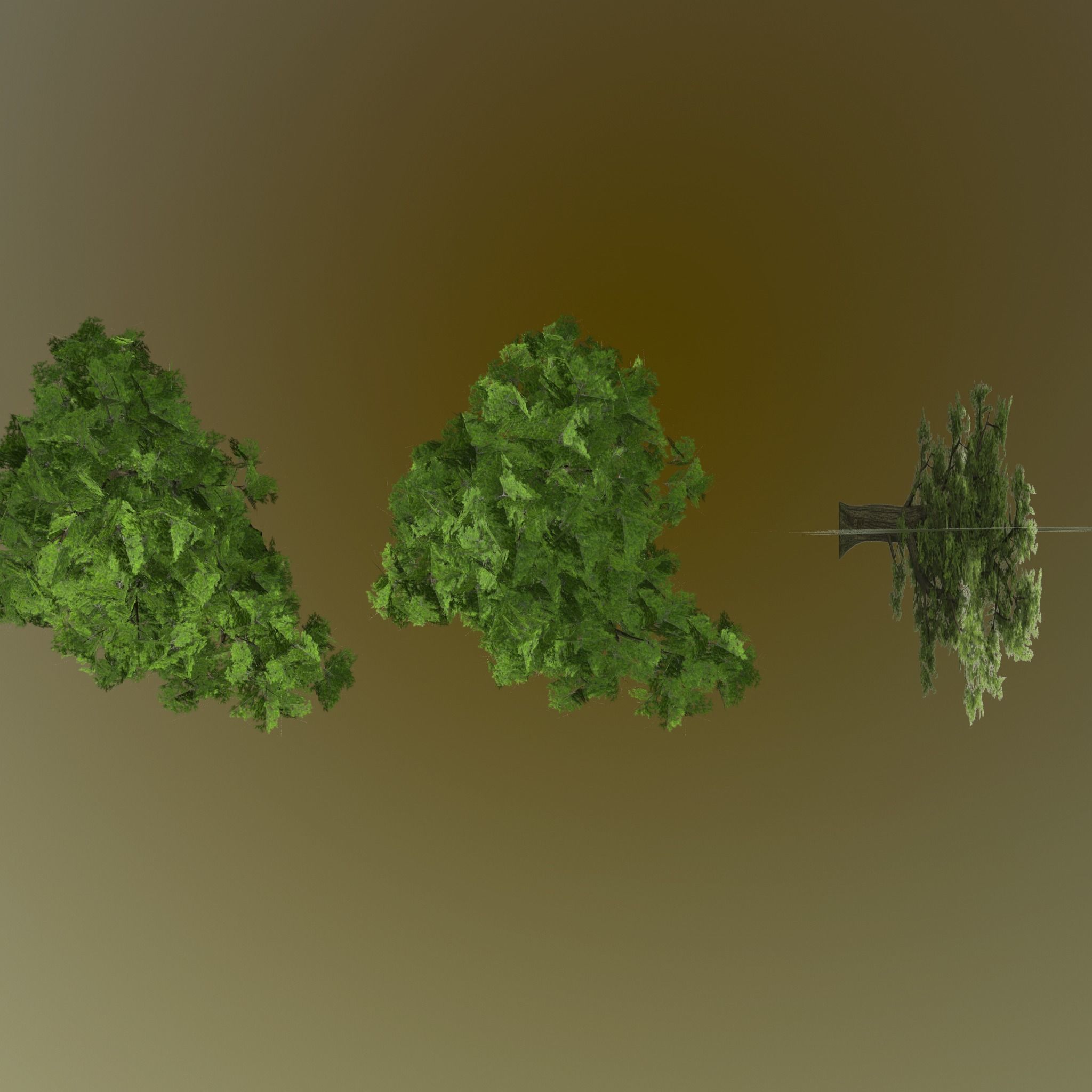 Pine- tree Low-poly 3D model_23