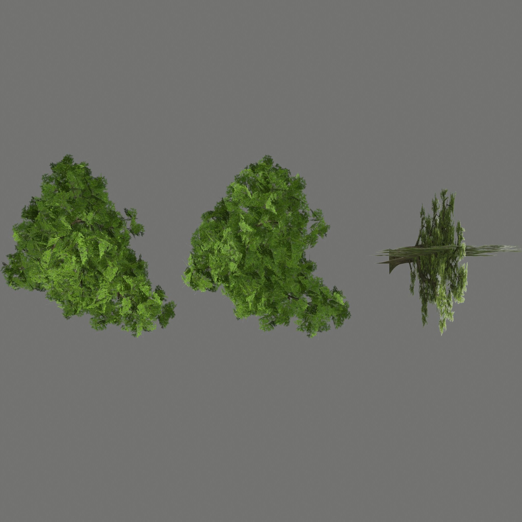 Pine- tree Low-poly 3D model_25