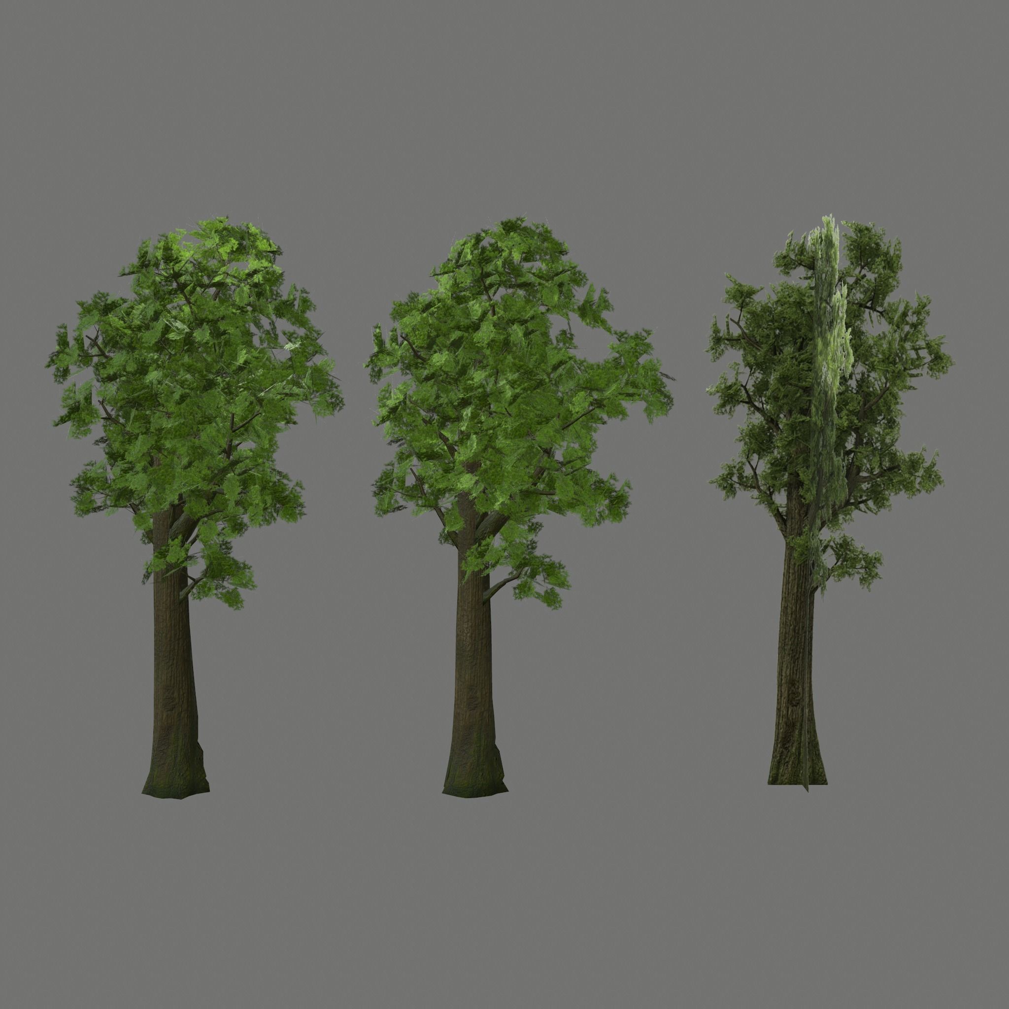 Pine- tree Low-poly 3D model_22