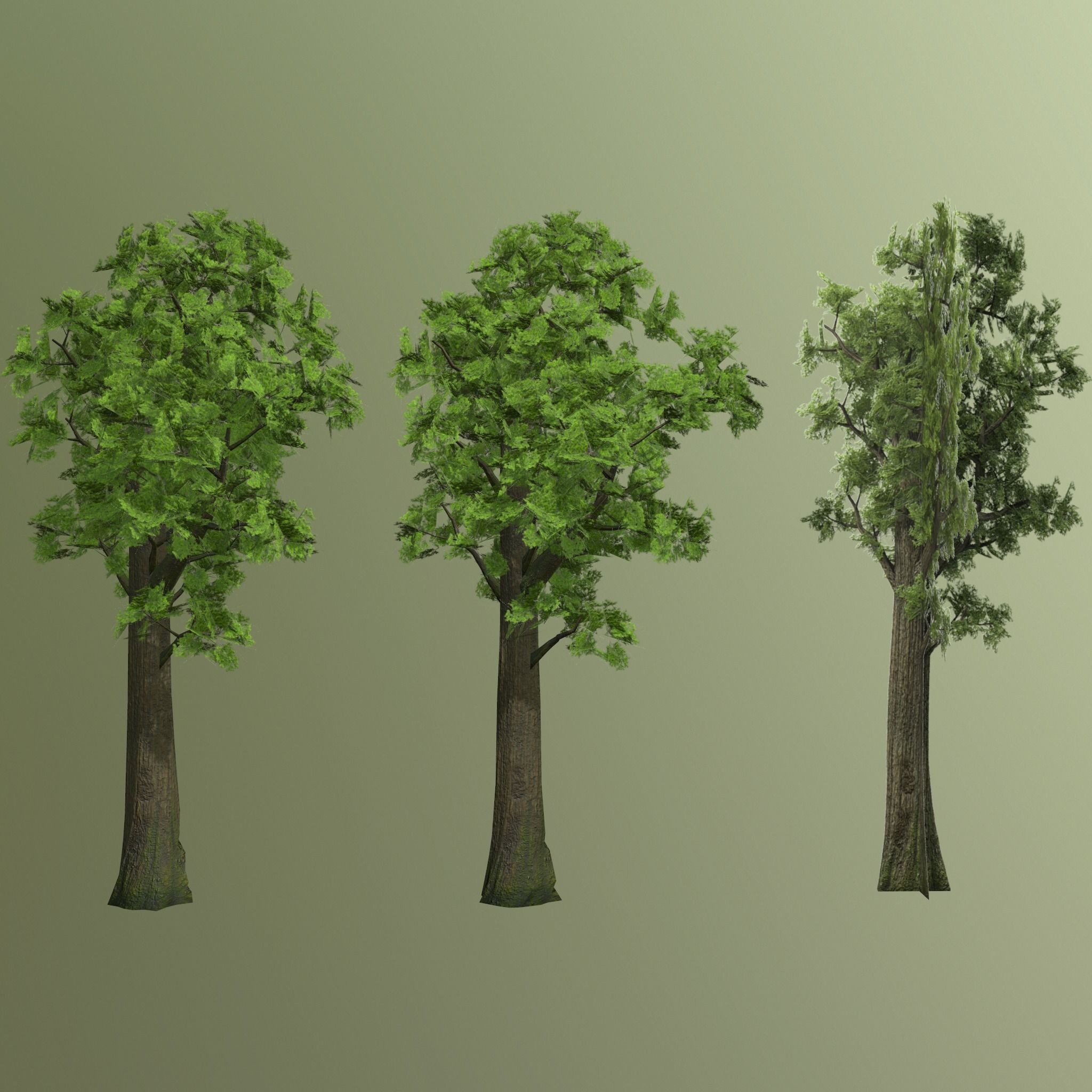 Pine- tree Low-poly 3D model_18