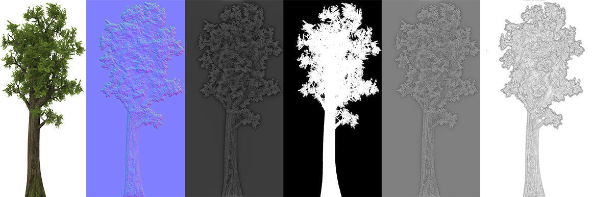 Pine- tree Low-poly 3D model_9