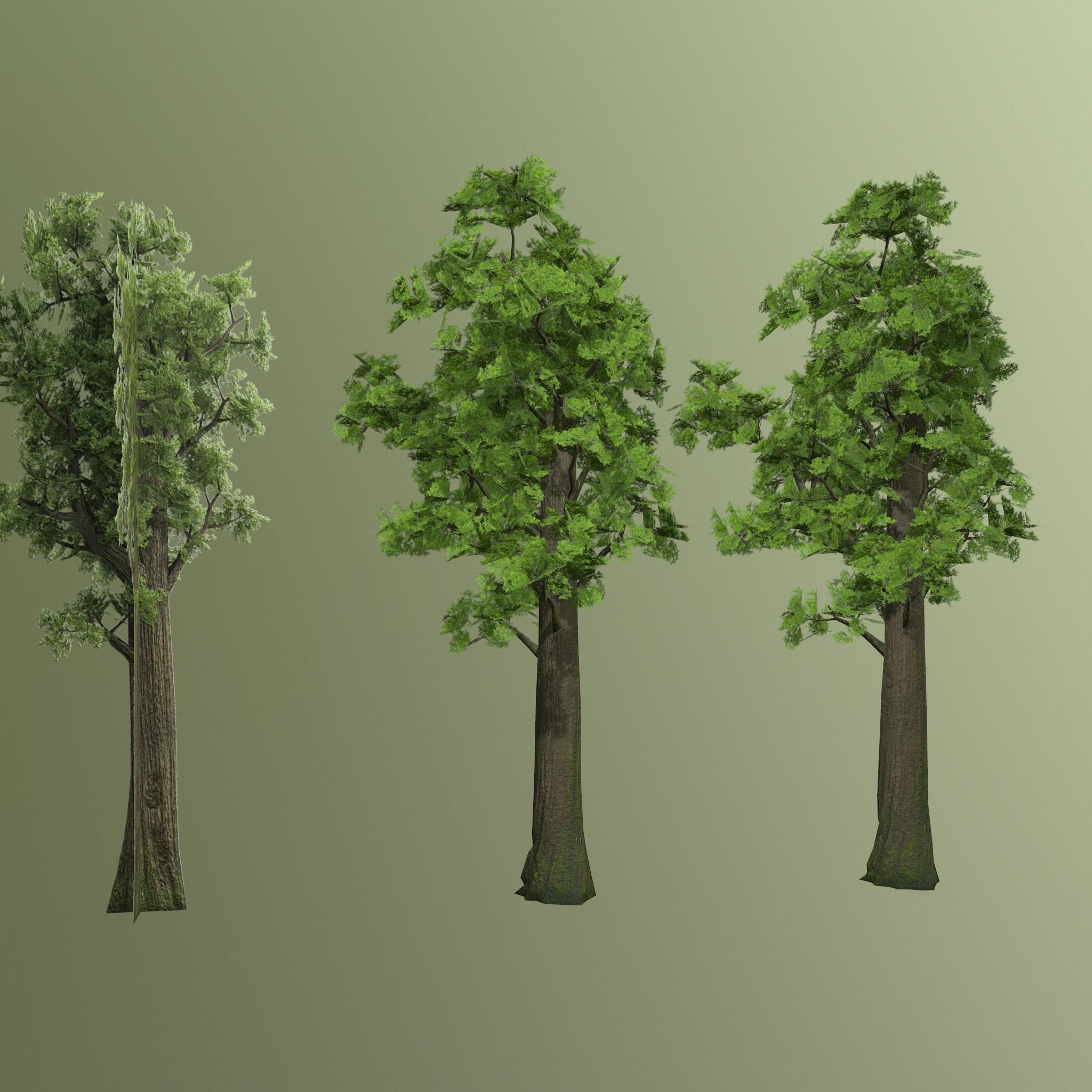 Pine- tree Low-poly 3D model_11