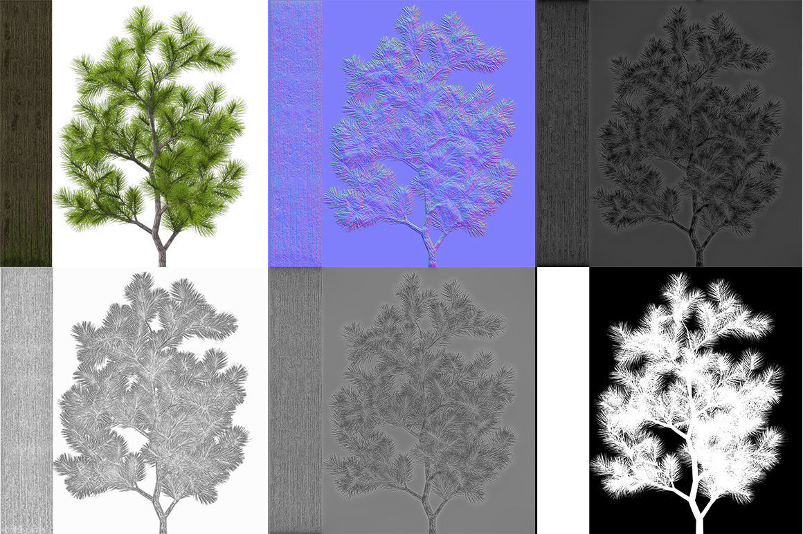 Pine- tree Low-poly 3D model_10