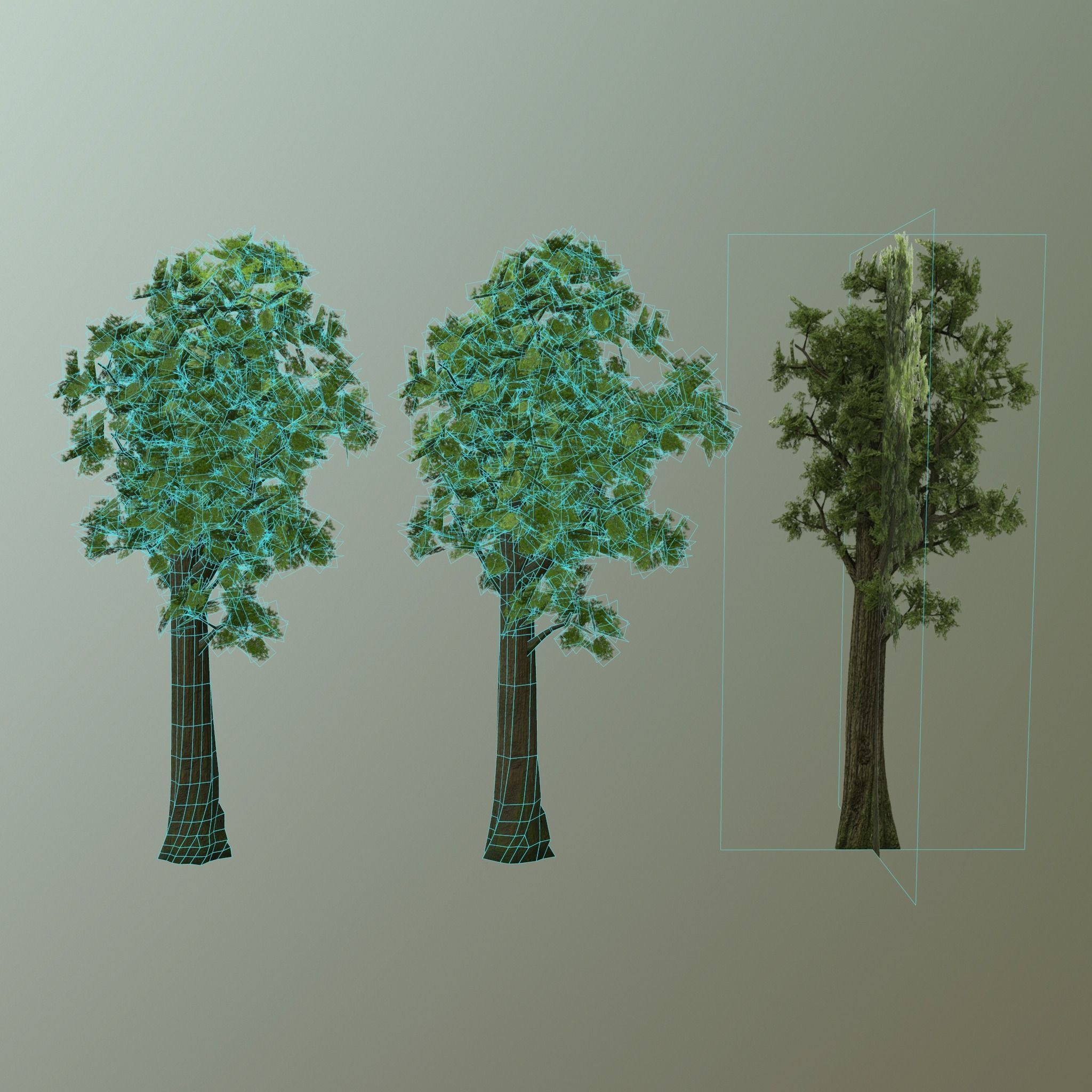Pine- tree Low-poly 3D model_21