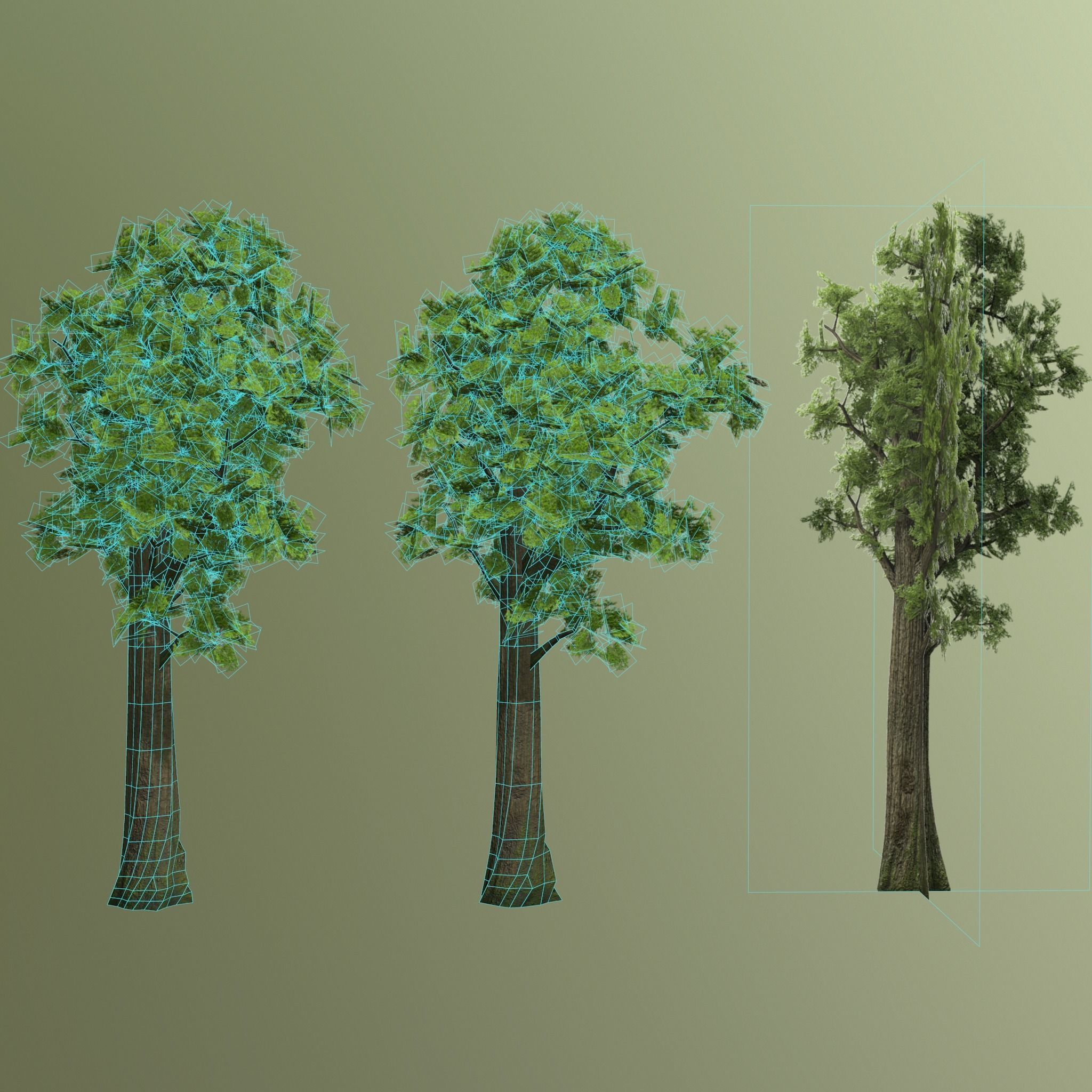 Pine- tree Low-poly 3D model_15