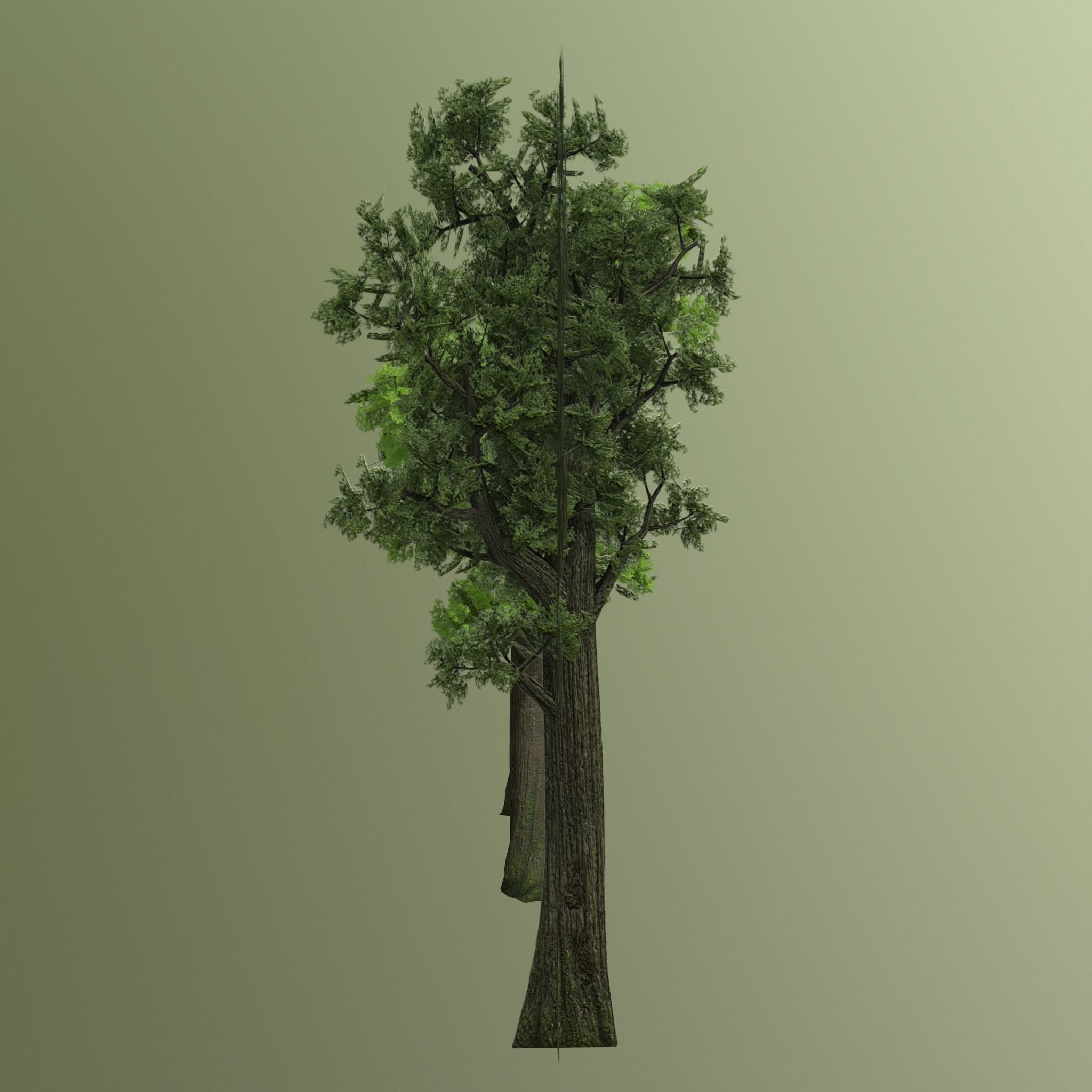 Pine- tree Low-poly 3D model_12