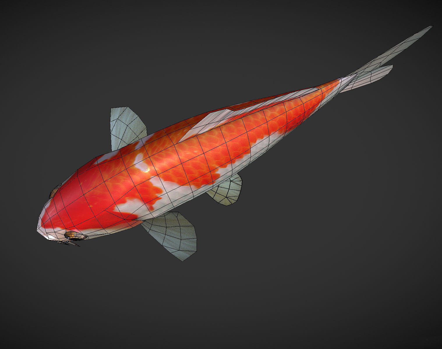 Koi fish Low-poly 3D model_6
