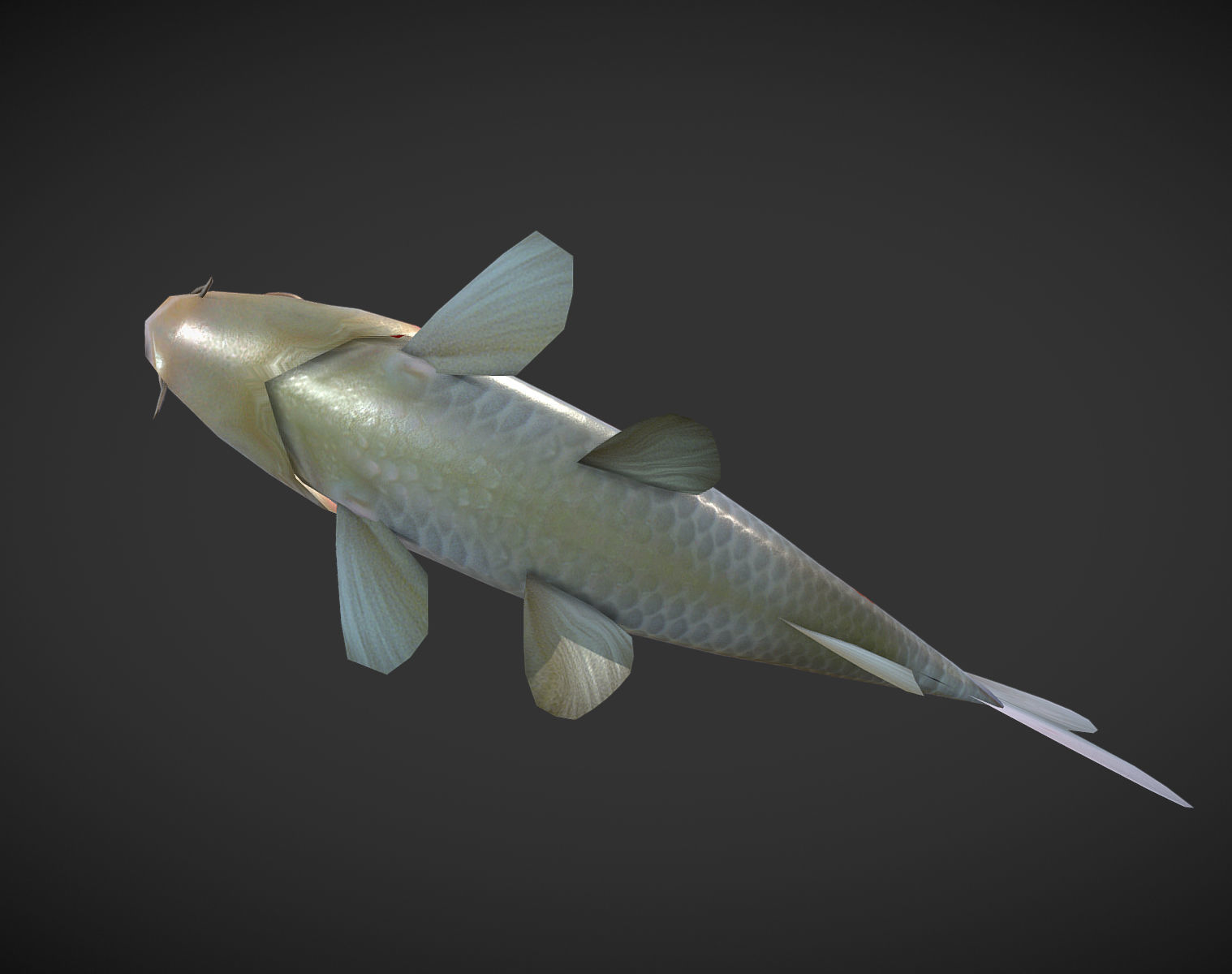 Koi fish Low-poly 3D model_3