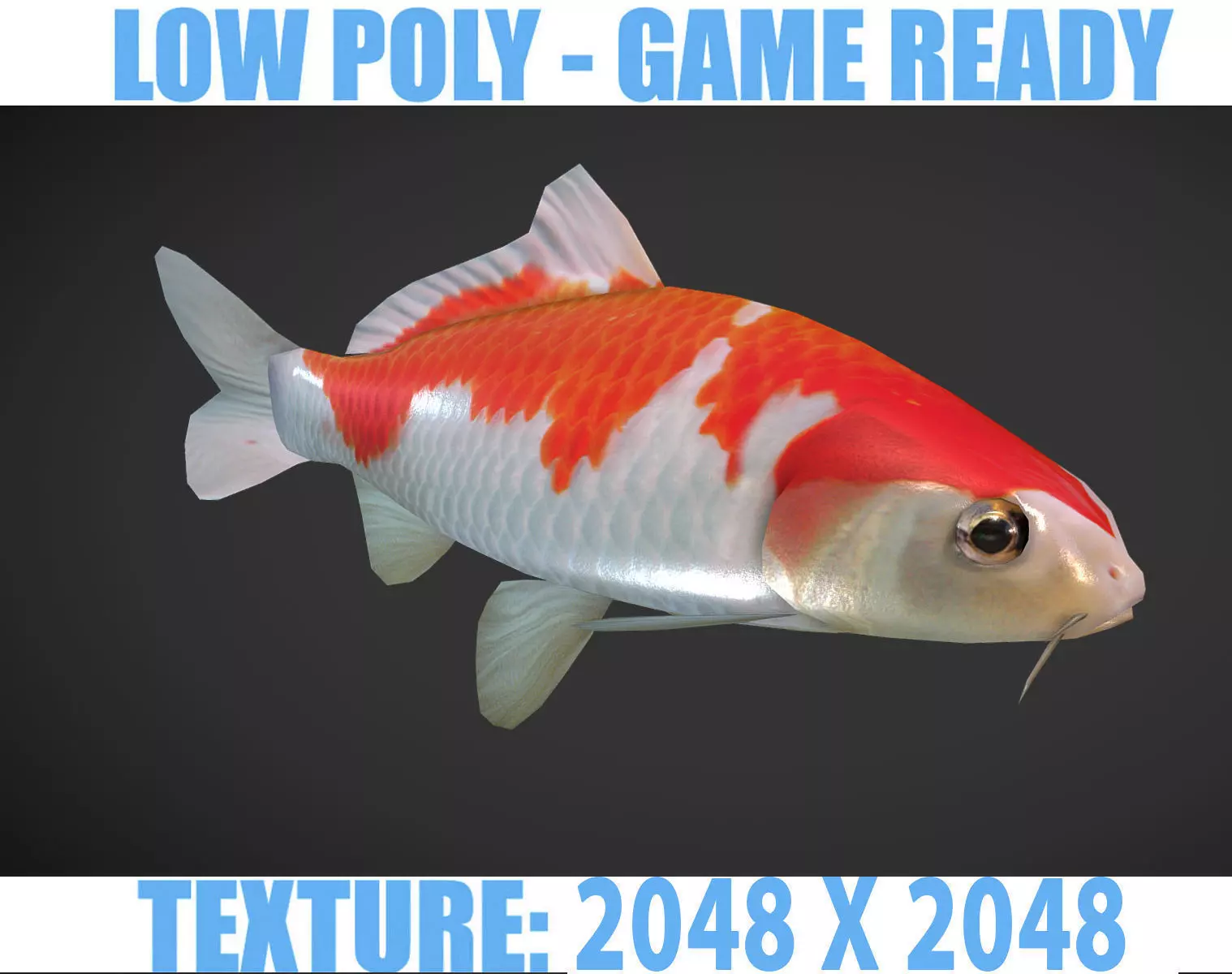 Koi fish Low-poly 3D model_0