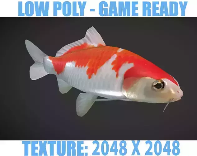 Koi fish Low-poly 3D model