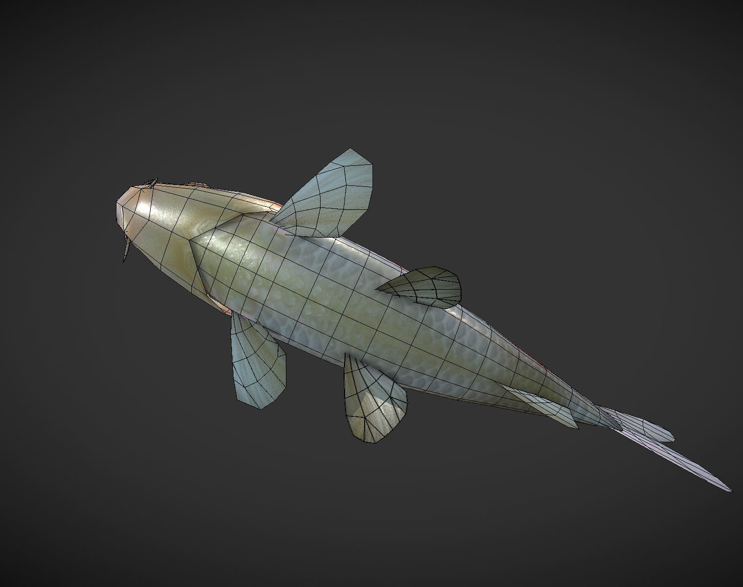 Koi fish Low-poly 3D model_7