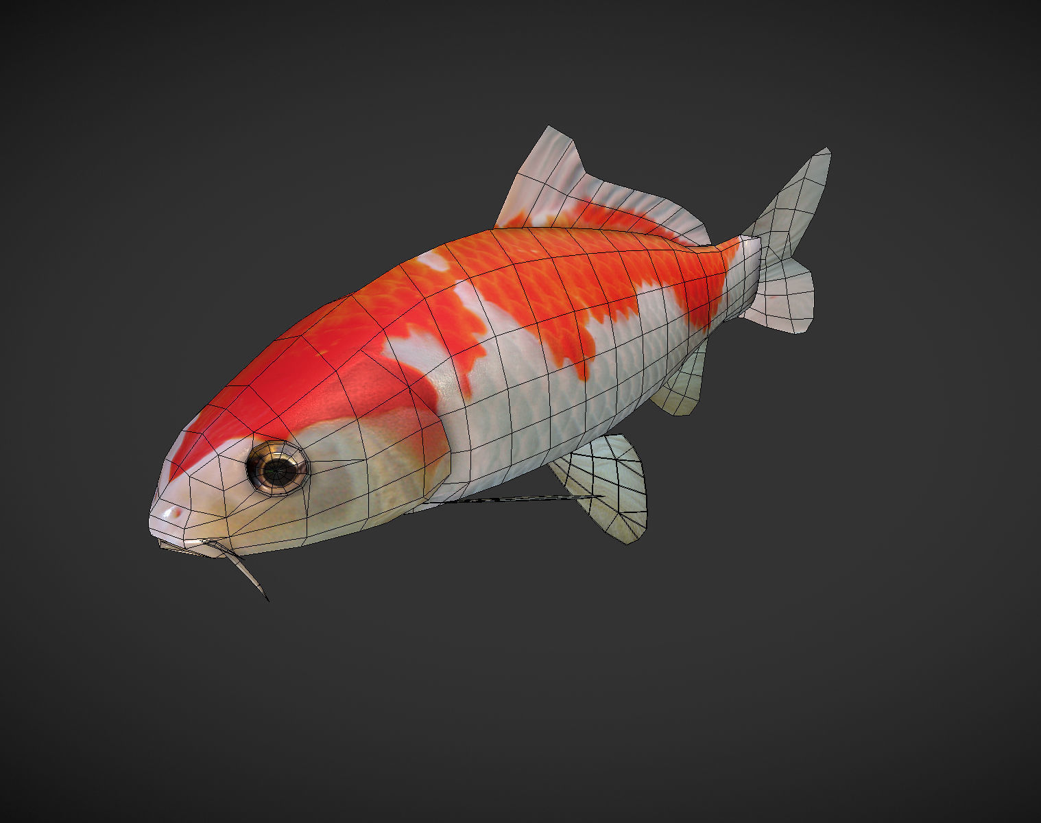 Koi fish Low-poly 3D model_8
