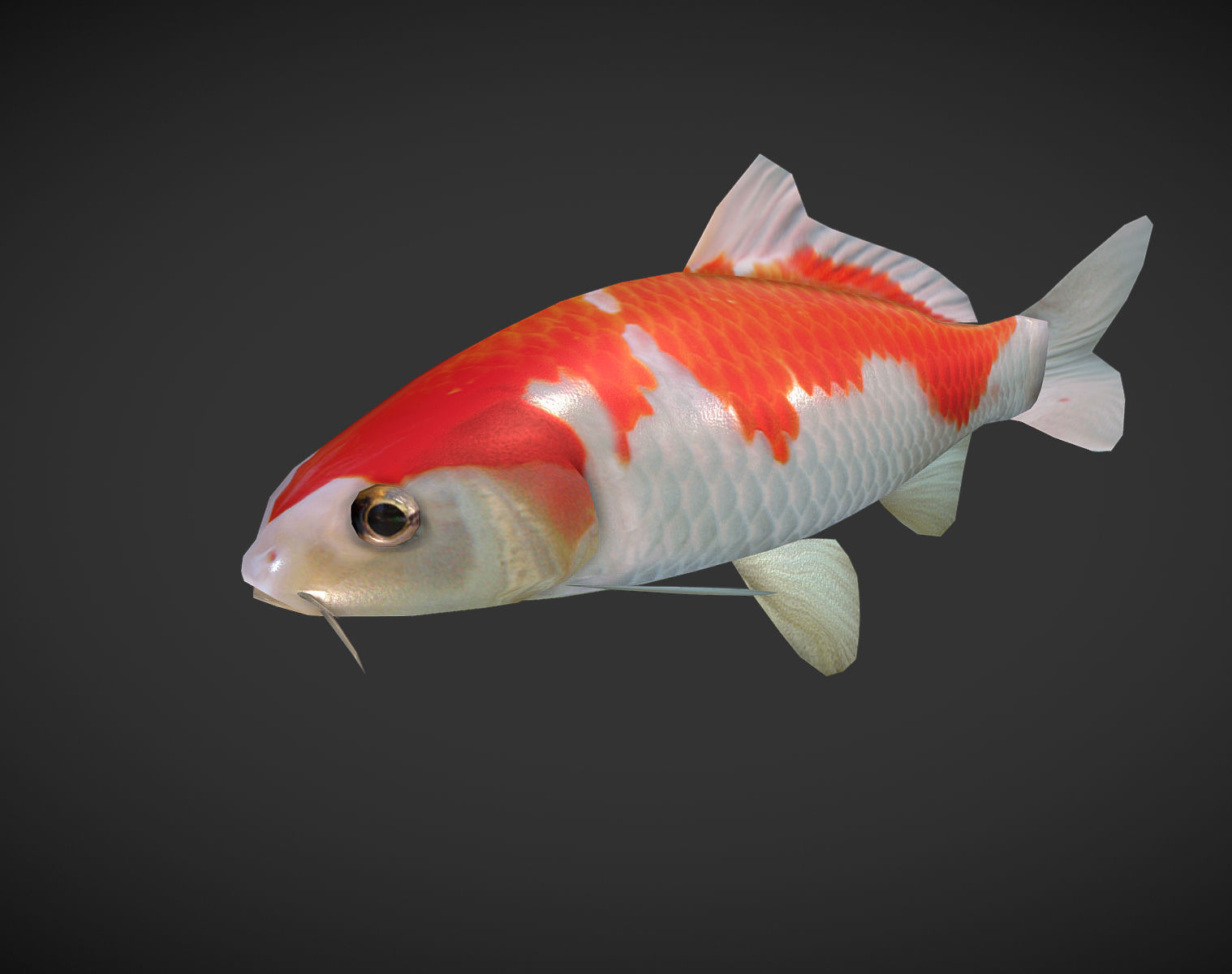 Koi fish Low-poly 3D model_1
