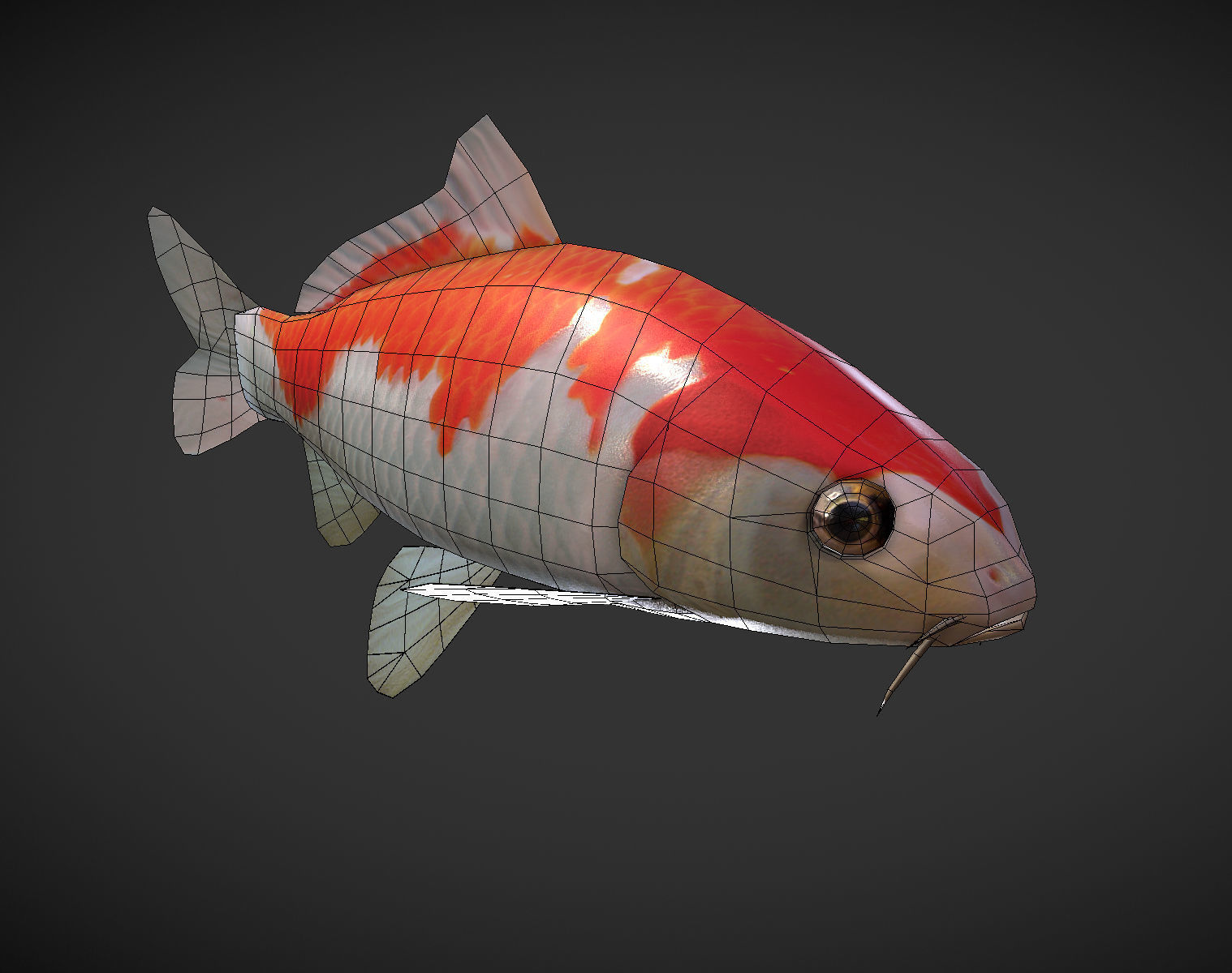 Koi fish Low-poly 3D model_9