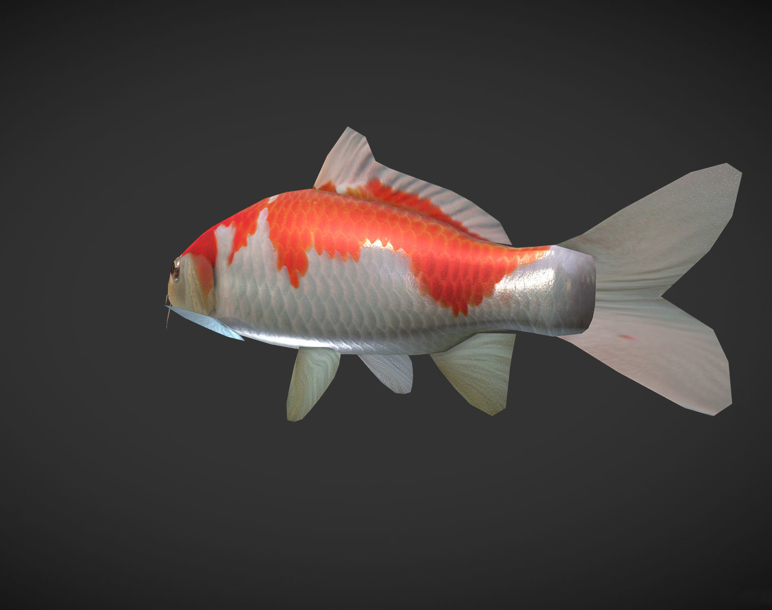 Koi fish Low-poly 3D model_2
