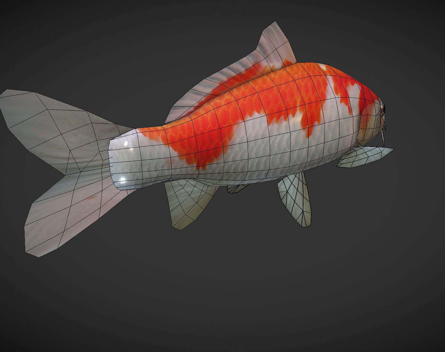Koi fish Low-poly 3D model_10