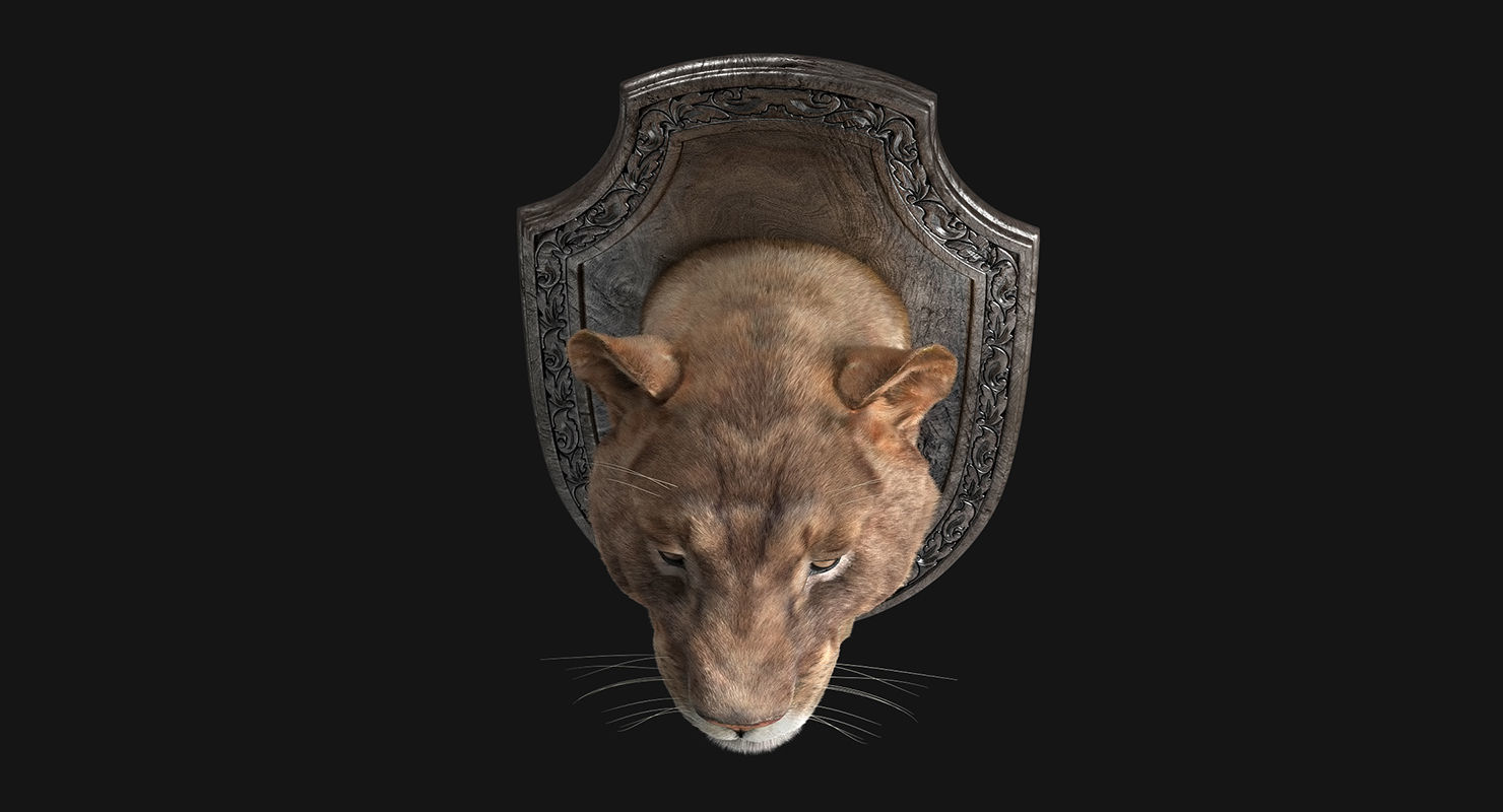 LIon Trophy 3D model_4
