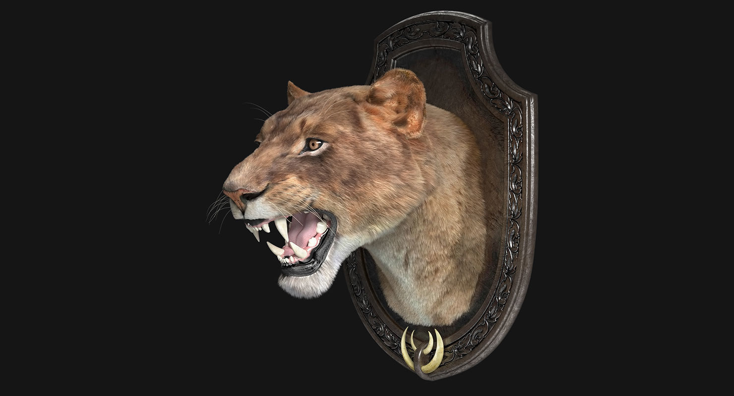 LIon Trophy 3D model_5