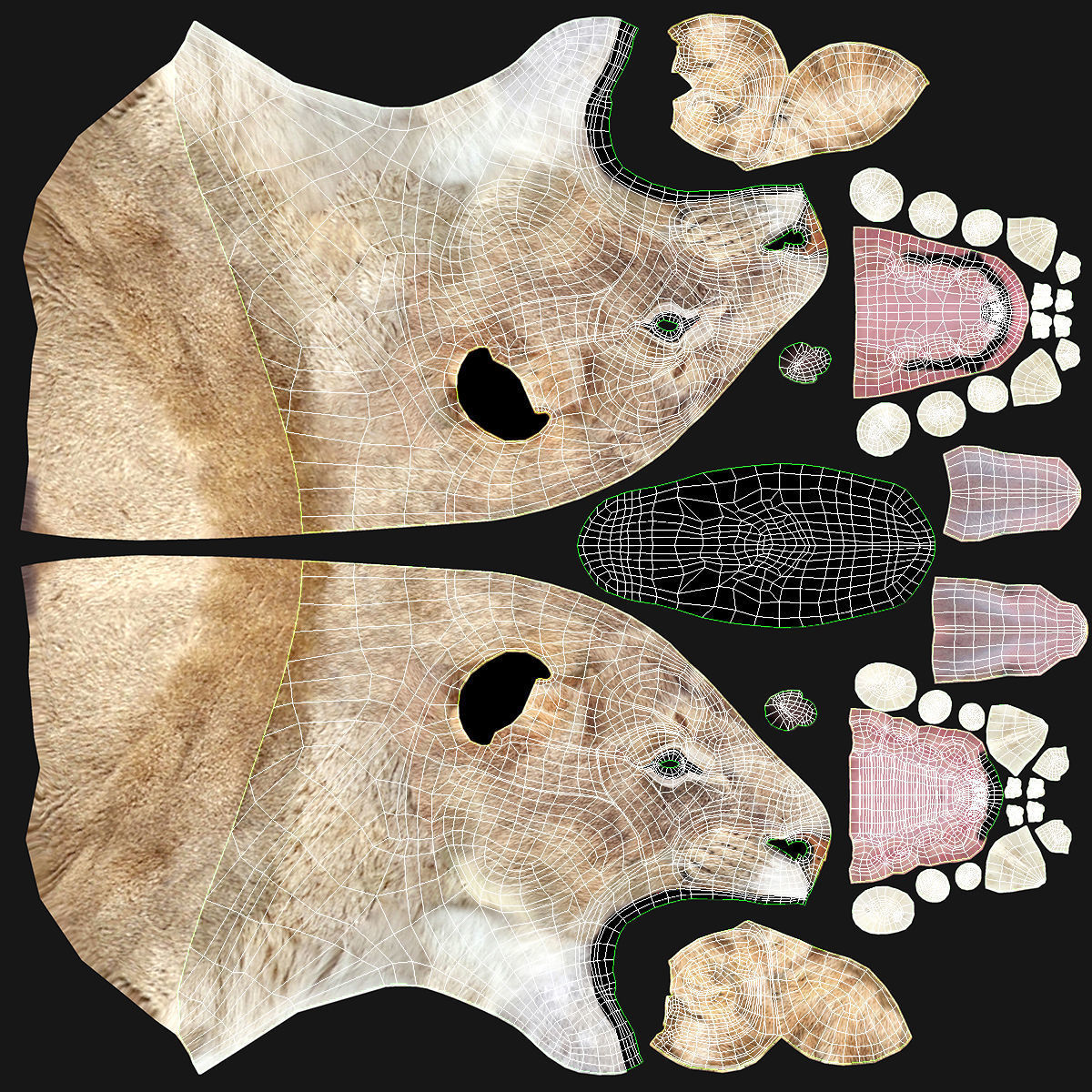 LIon Trophy 3D model_9