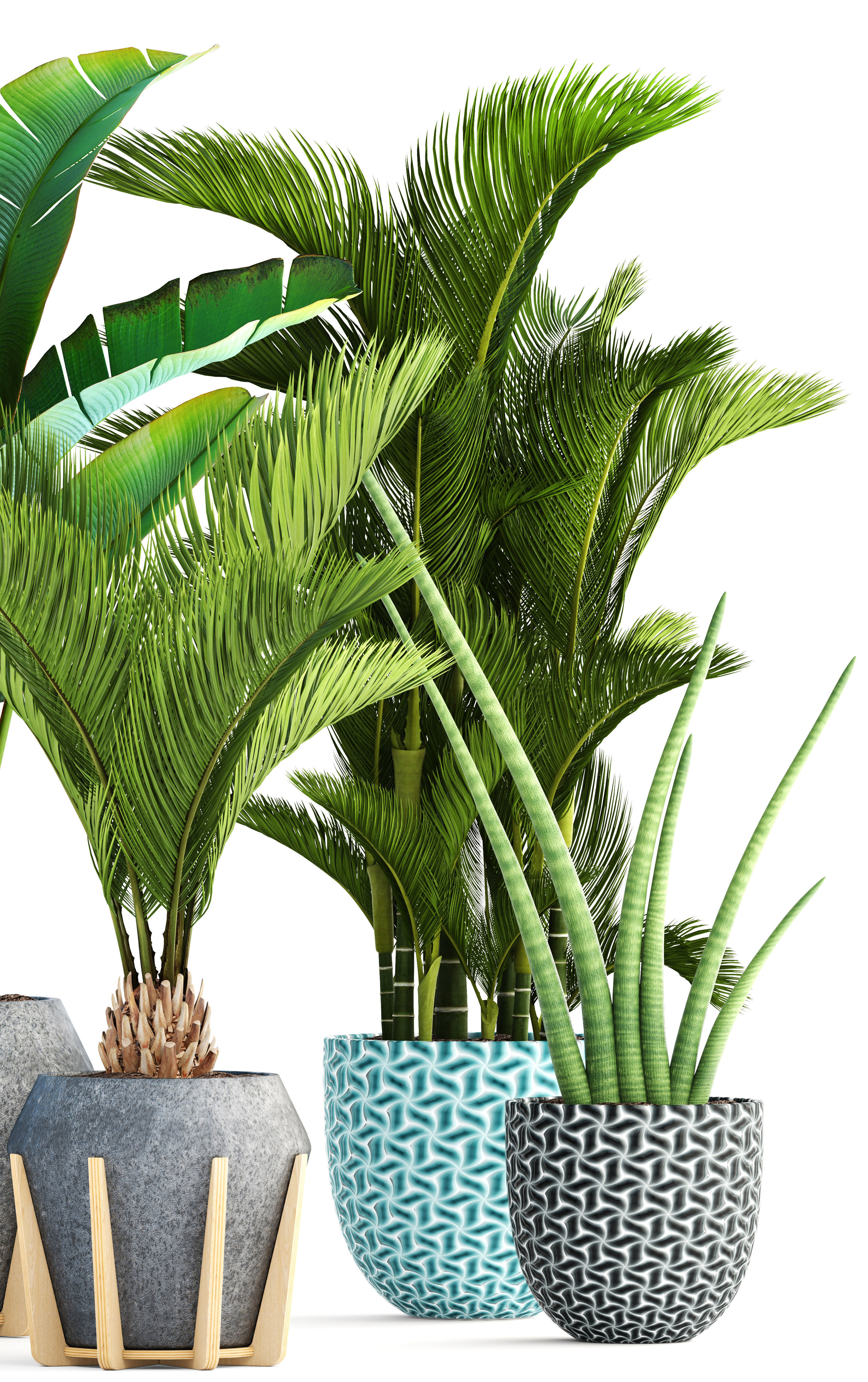 Collection of tropical plants  3D model_7