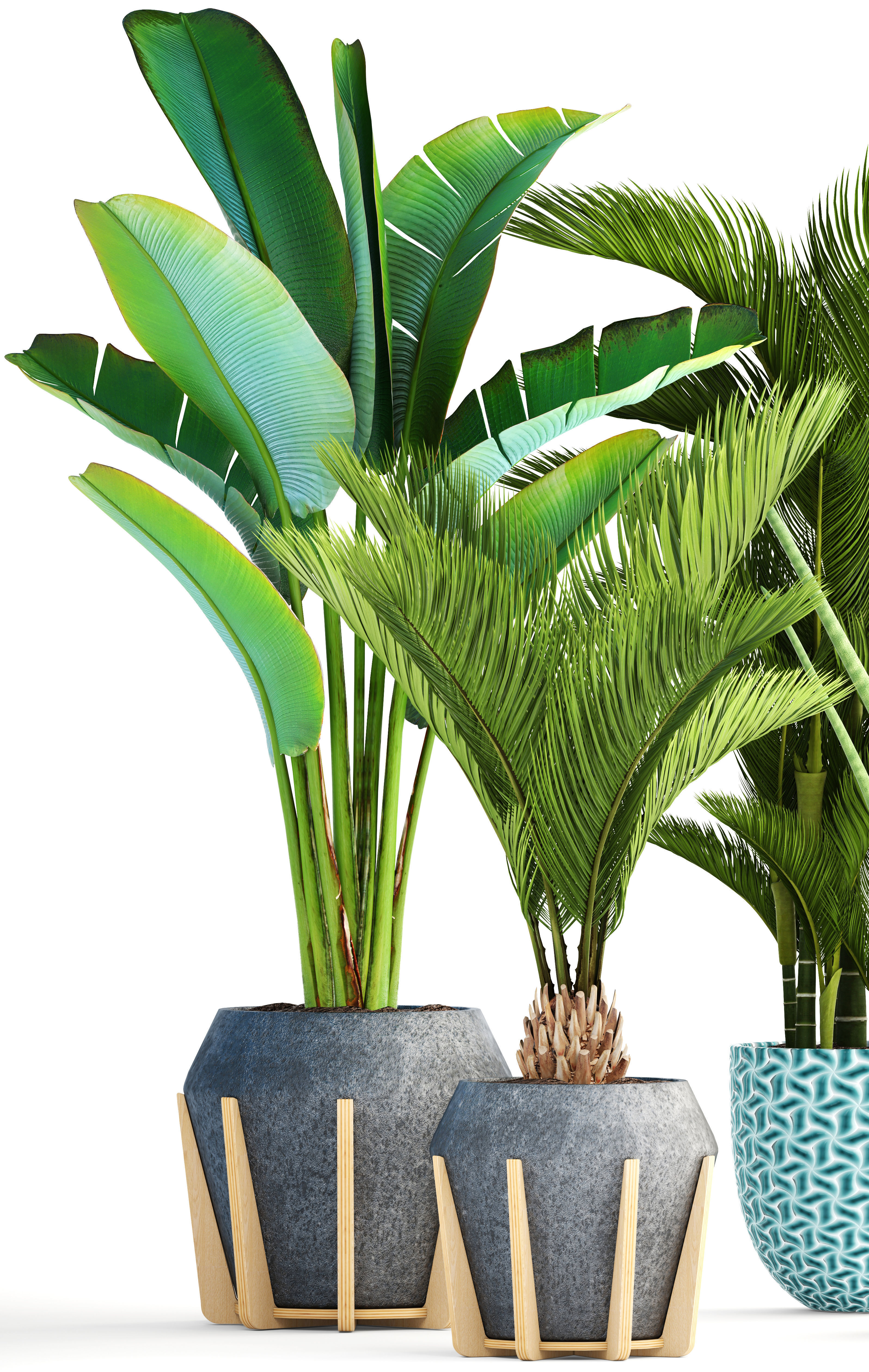 Collection of tropical plants  3D model_1