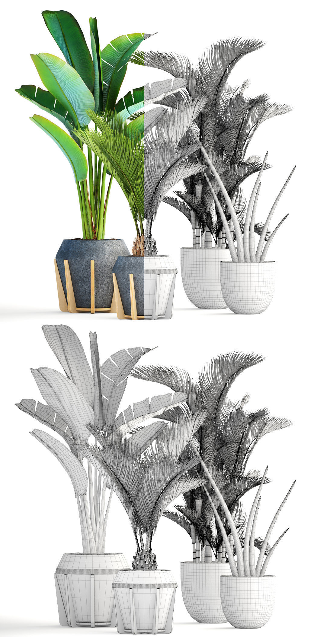 Collection of tropical plants  3D model_6