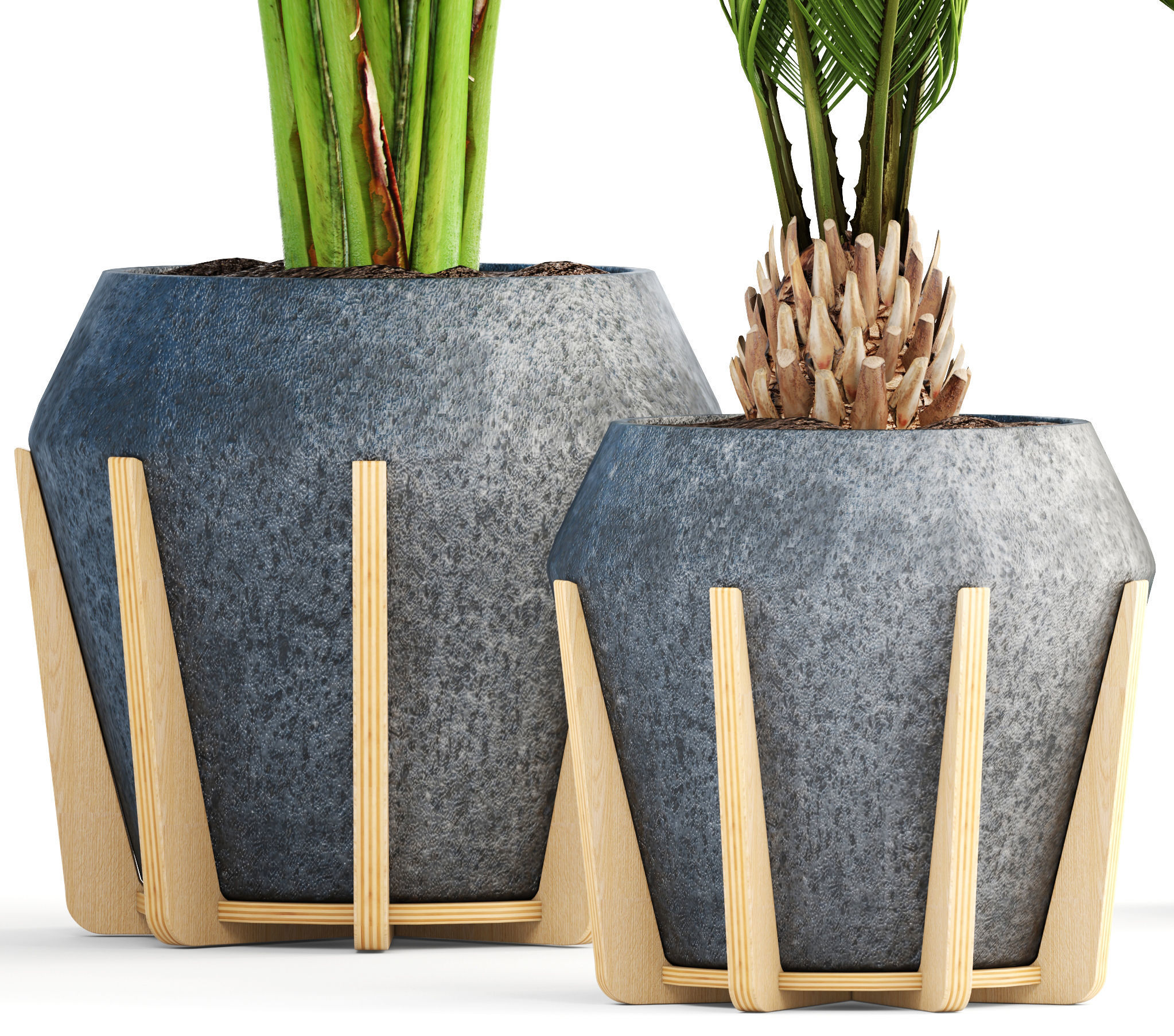 Collection of tropical plants  3D model_4