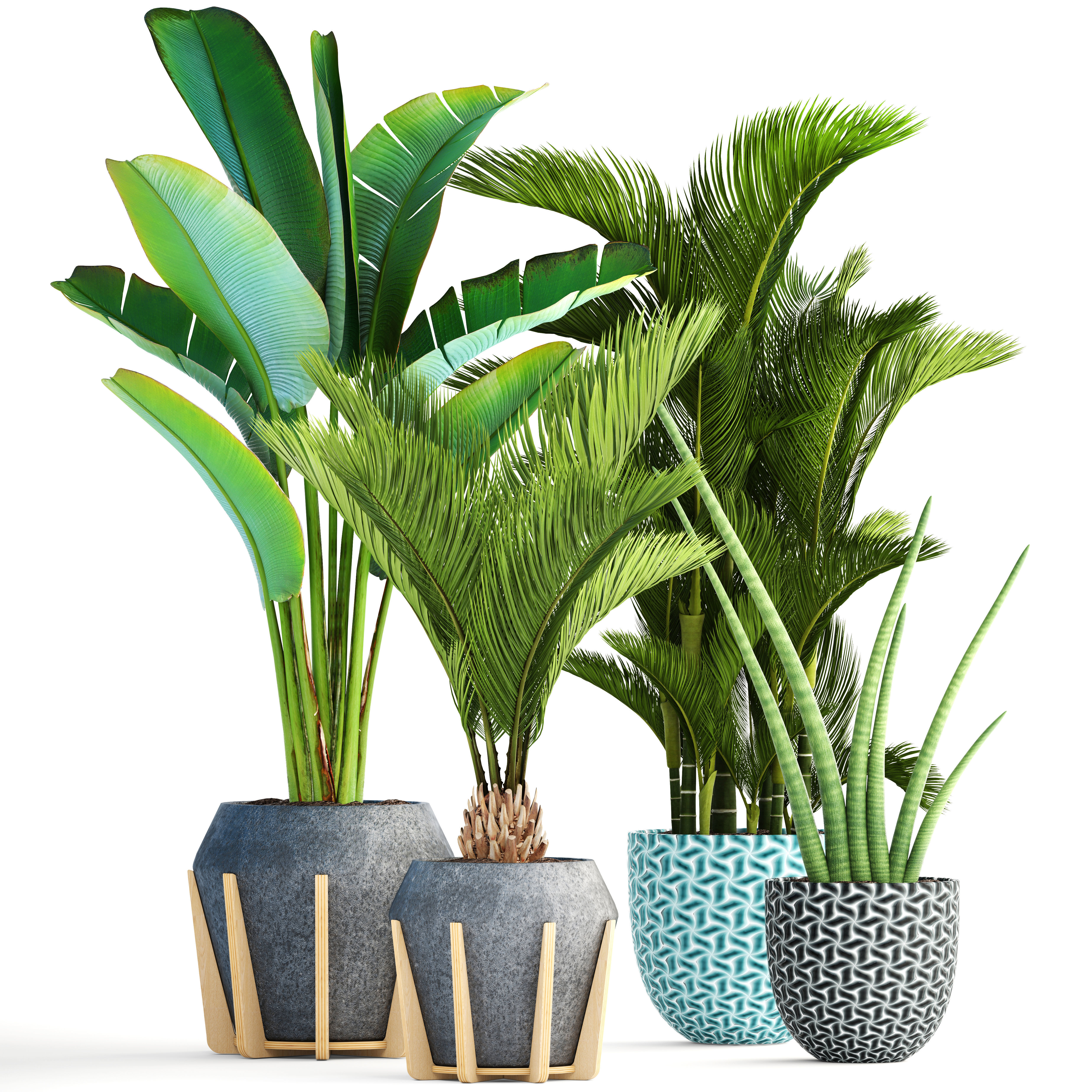 Collection of tropical plants  3D model_3