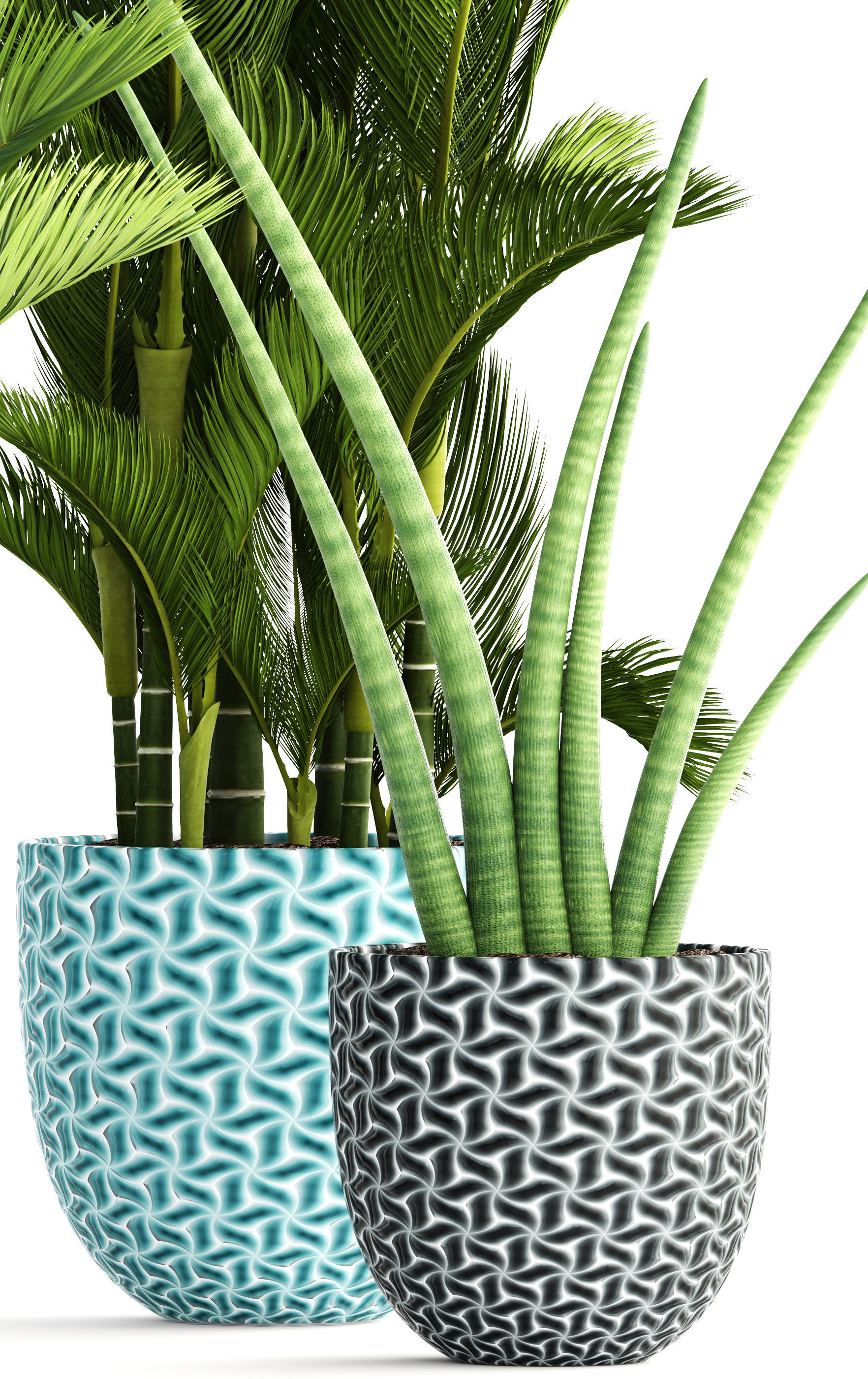 Collection of tropical plants  3D model_2