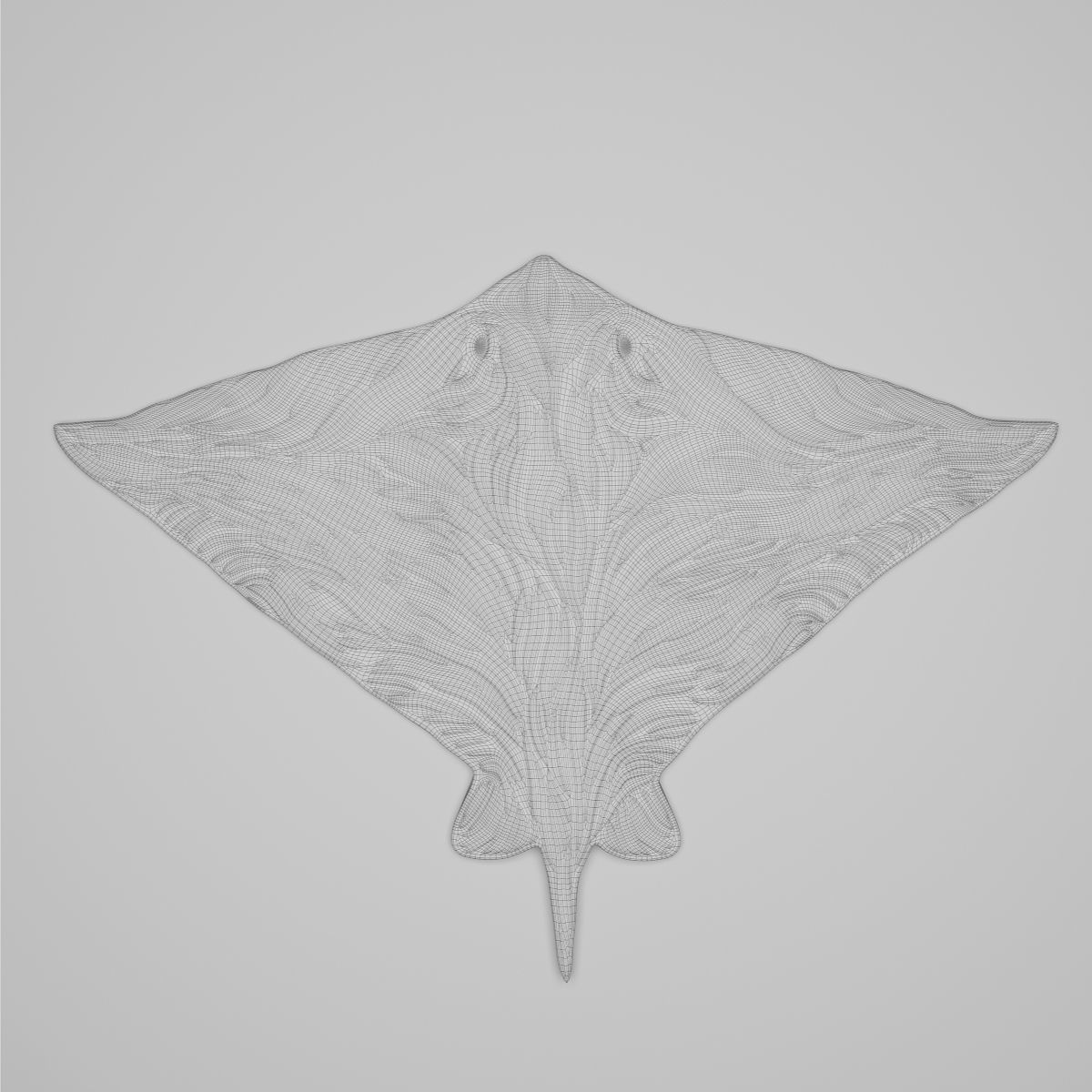 Sculpture Batoidea By ODESD2 3D model_4