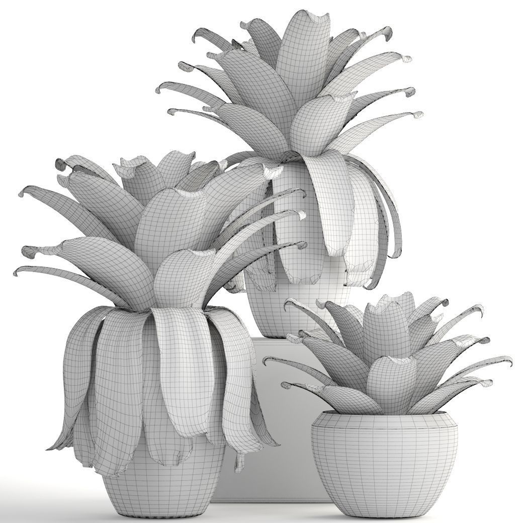 Tropical plant shrubs 3D model_6