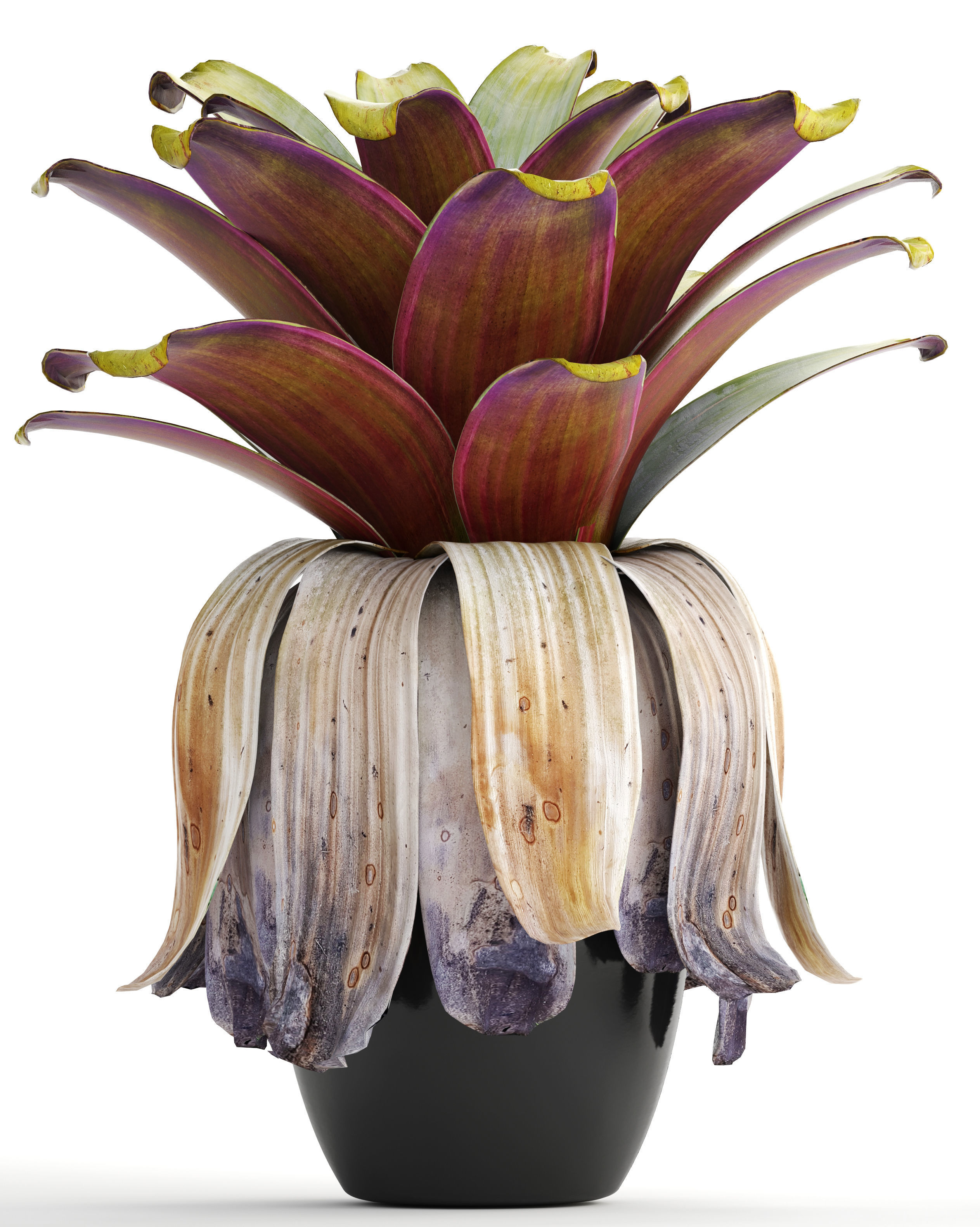 Tropical plant shrubs 3D model_2