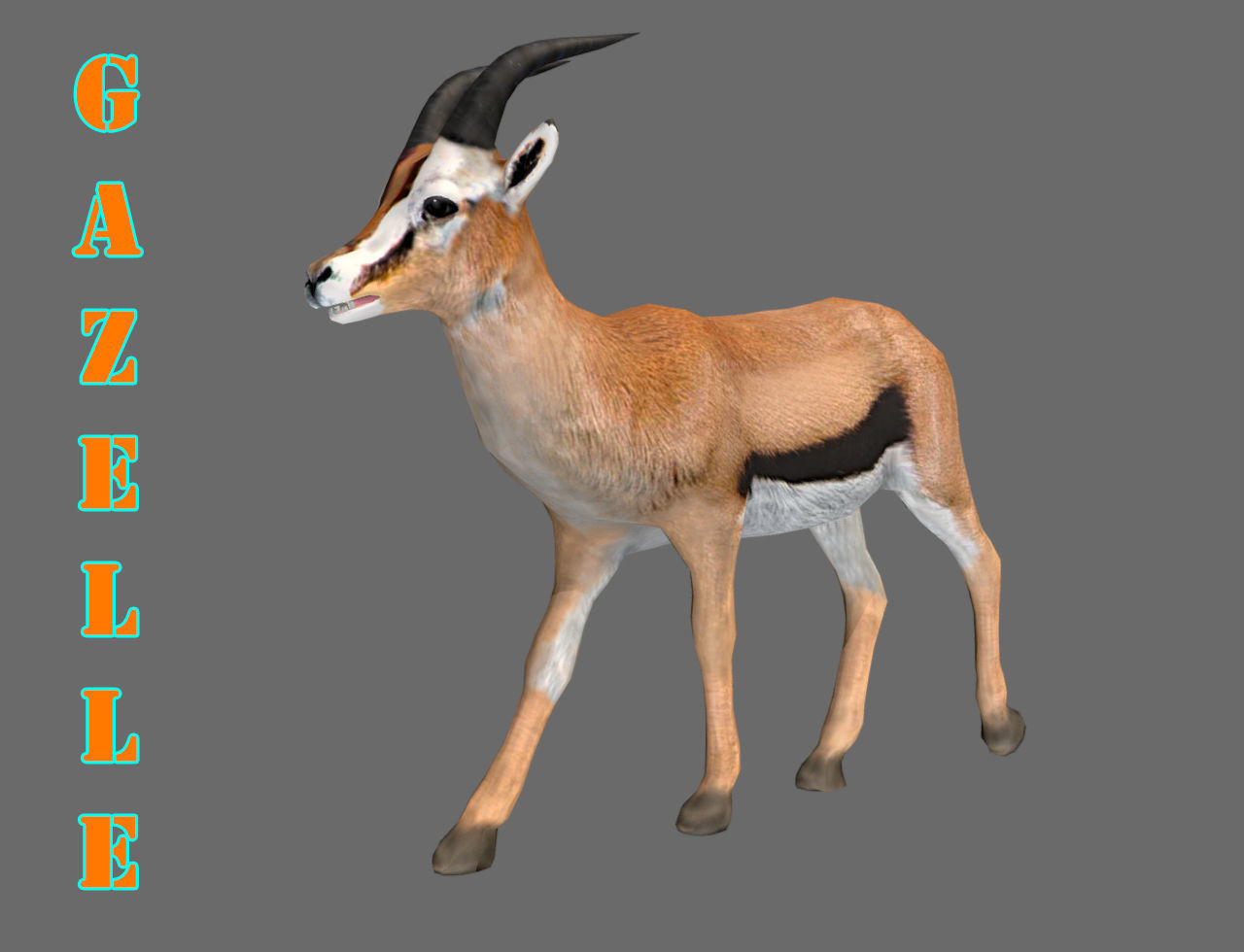 ANIMATED GAZELLE 3D MODEL  Low-poly  3D model