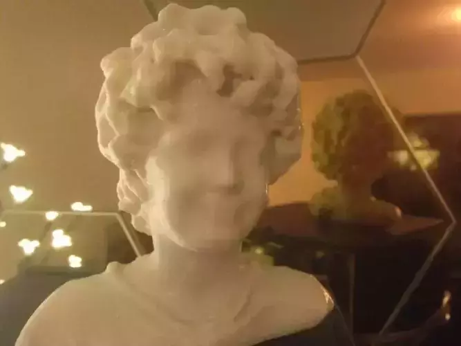 Calvin 3D scan Free 3D print model