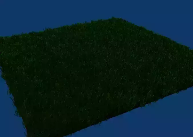 High Quality Grass